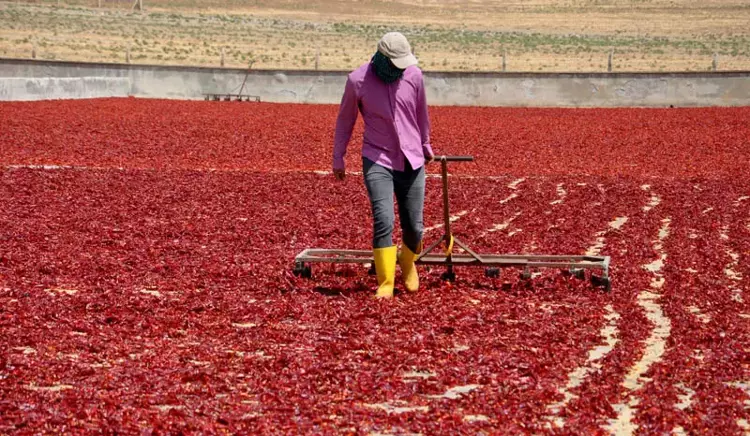 698C5A288C3F68B010B5F6D7