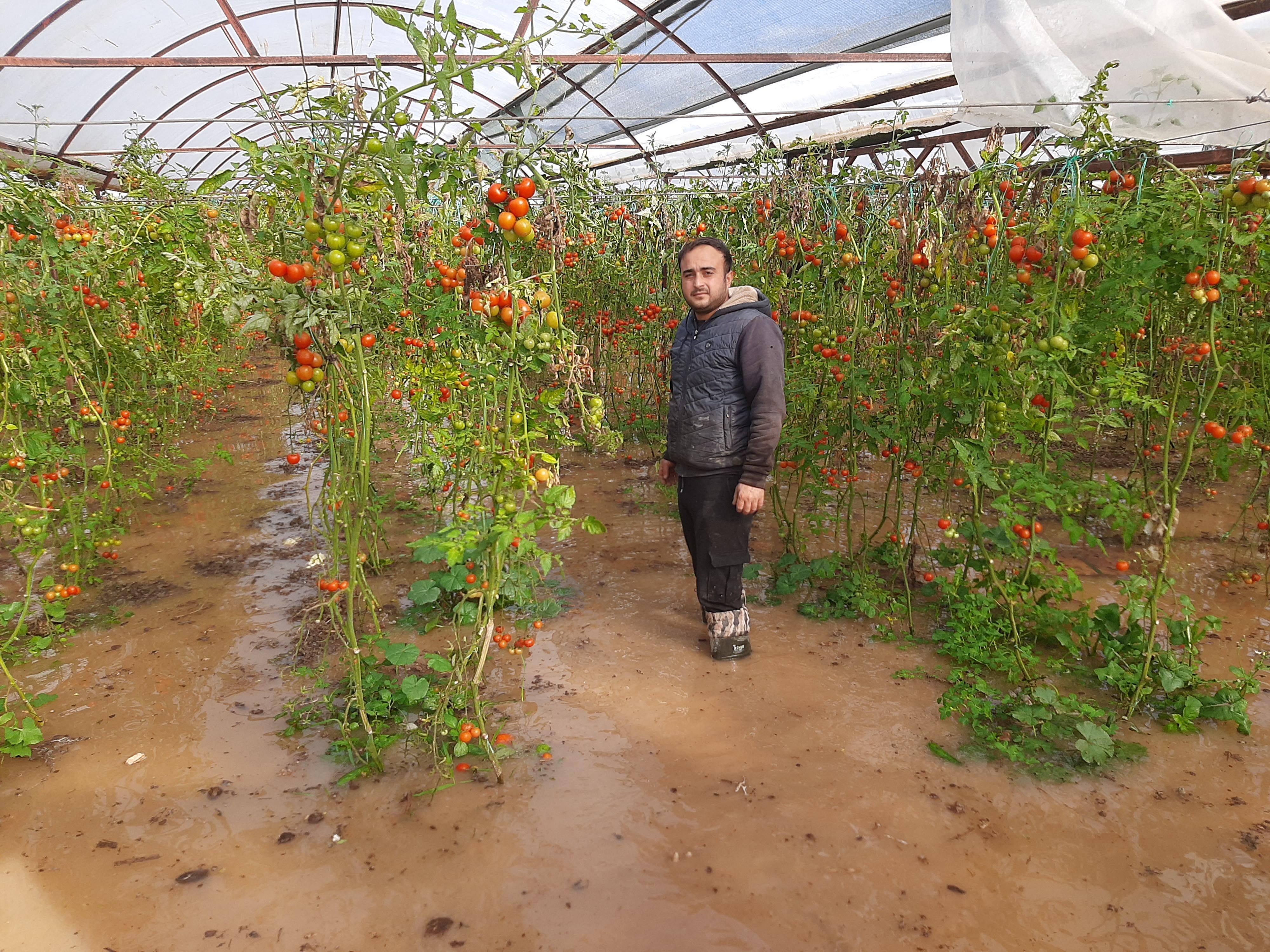 A N T A L Y A D A F I R T I N A H O R T U M V E S E L F E L A K E 1190012 353605