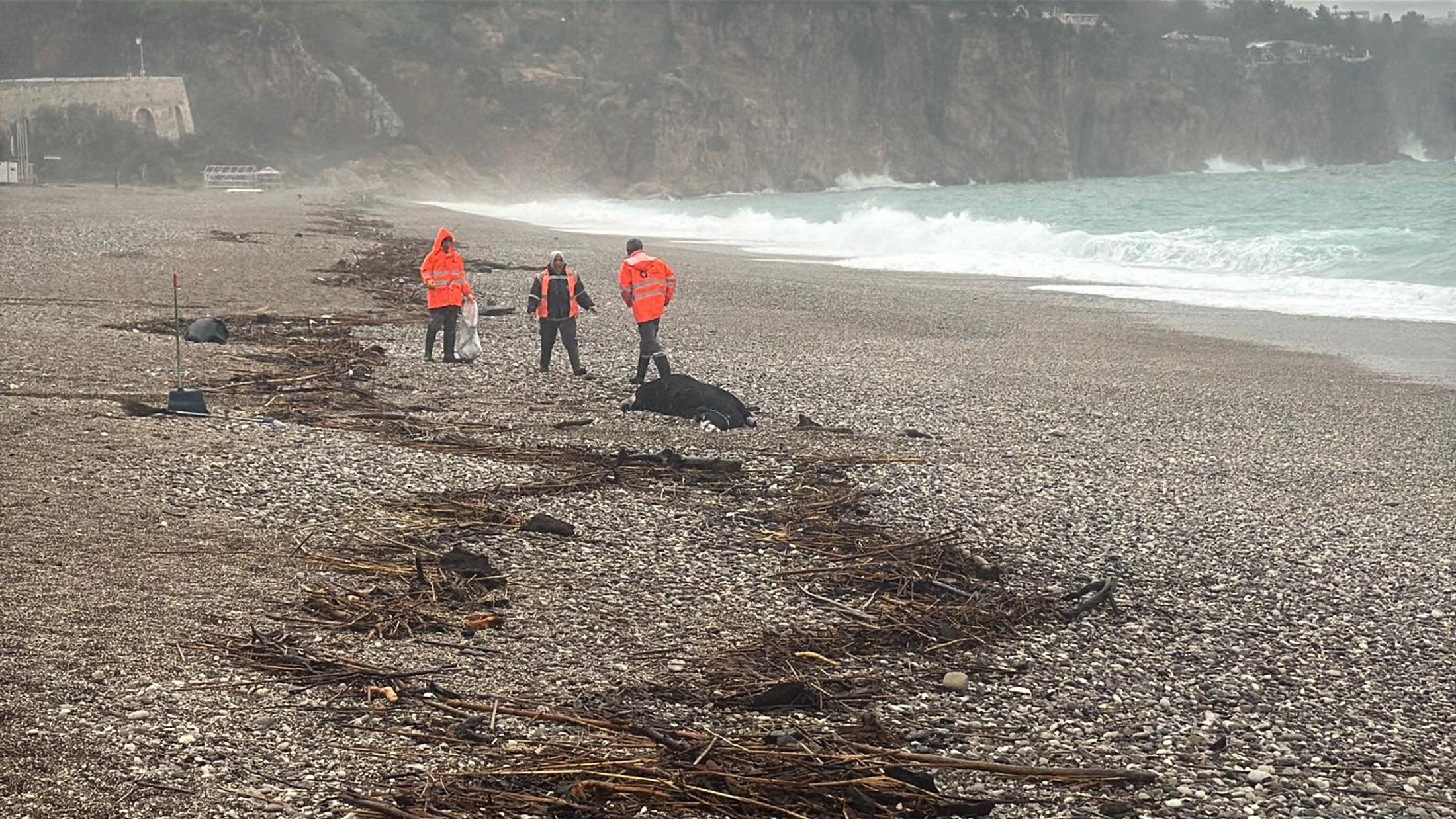 A N T A L Y A Y I S A G A N A K V U R D U 7 I L C E D E O K U L L 1165227 346148