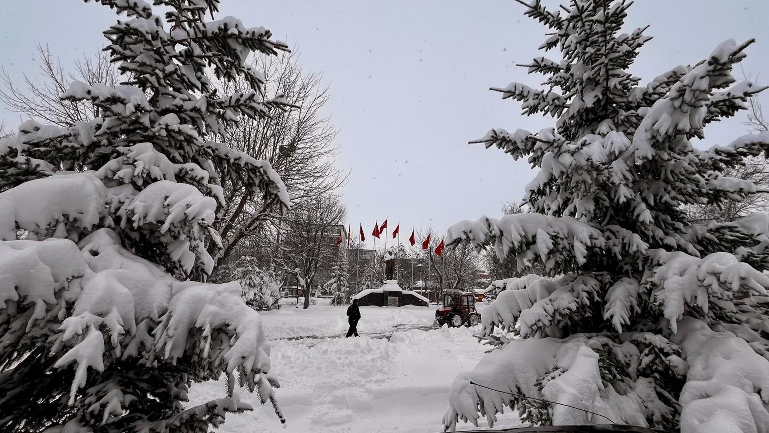 A R D A H A N D A 89 K O Y Y O L U K A R D A N K A P A N D I 1190135 353648