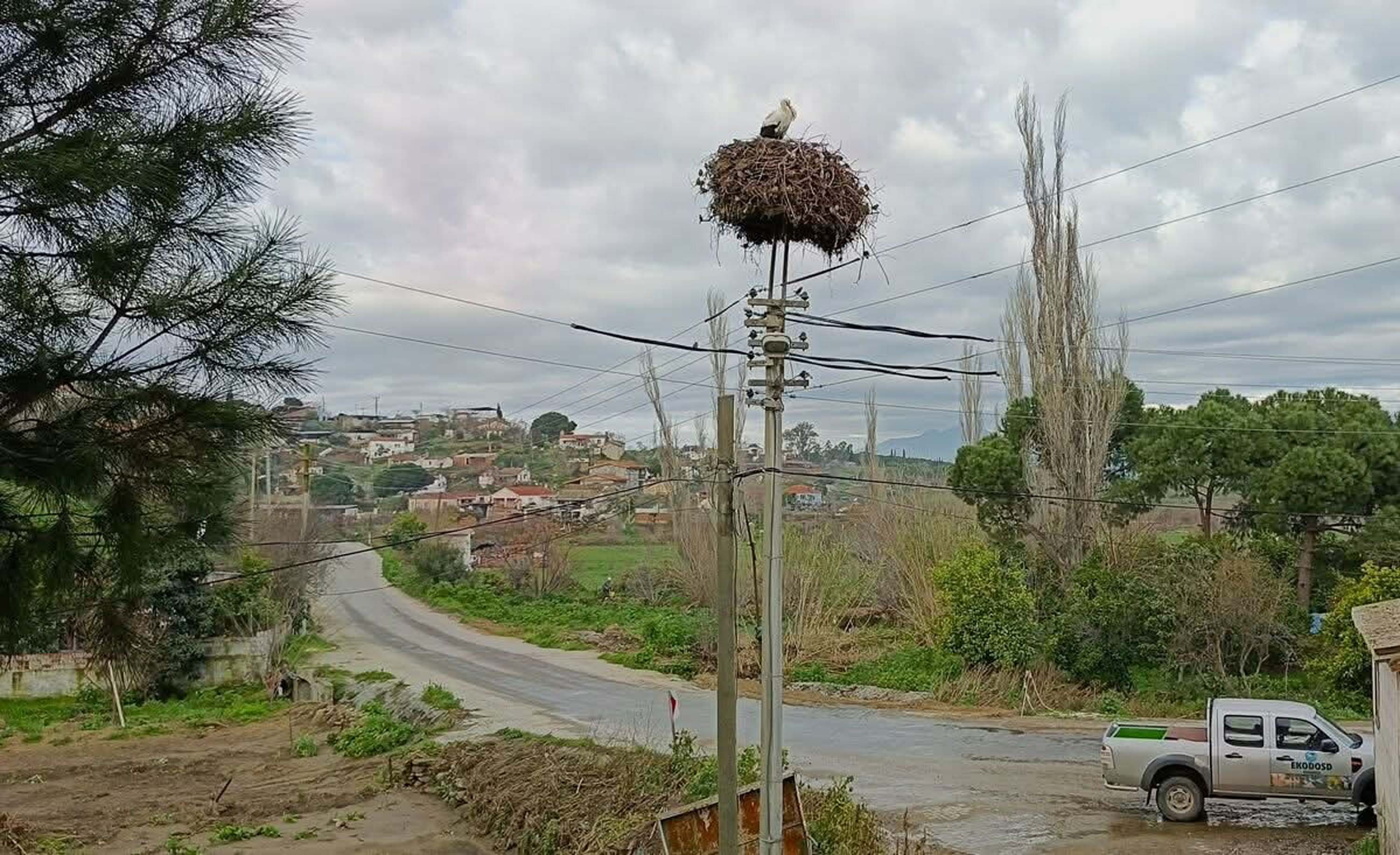 A Y D I N’ D A B A H A R I N M U J D E C I S I O L A N L E Y L E K L E 1180082 350547