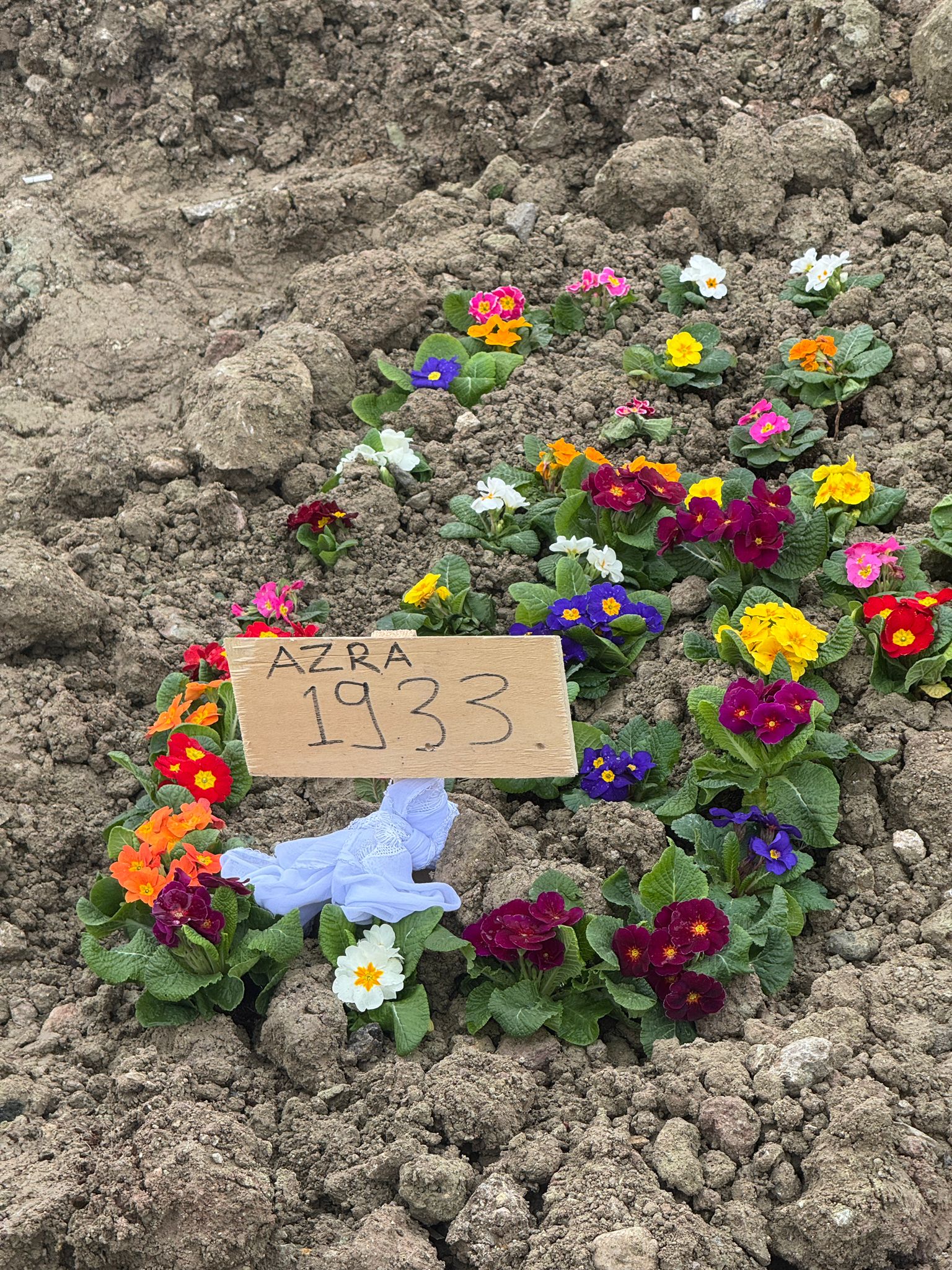 Annesini, Kızını ve Eşini Öldüren Hükümlü, Cezaevinden 11 Günlük İzinle Çıkmış