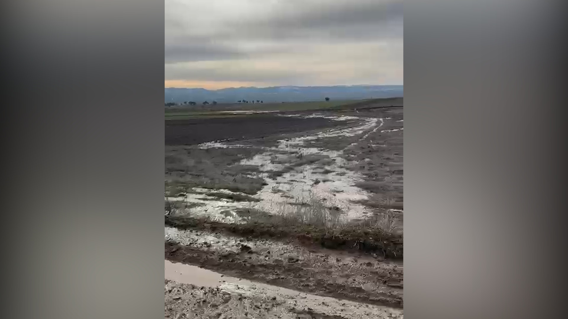 B A K A N L I K T A N A S K I Y E 2 M I L Y O N 98 B I N L I R A 1173803 348675