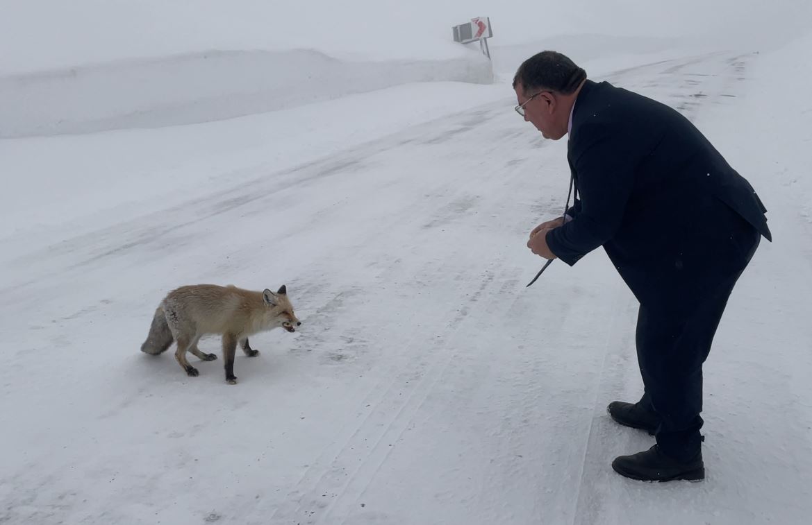 B E L E D I Y E B A S K A N I K A R L I Y O L D A A C K A L A N T I 1151037 341846