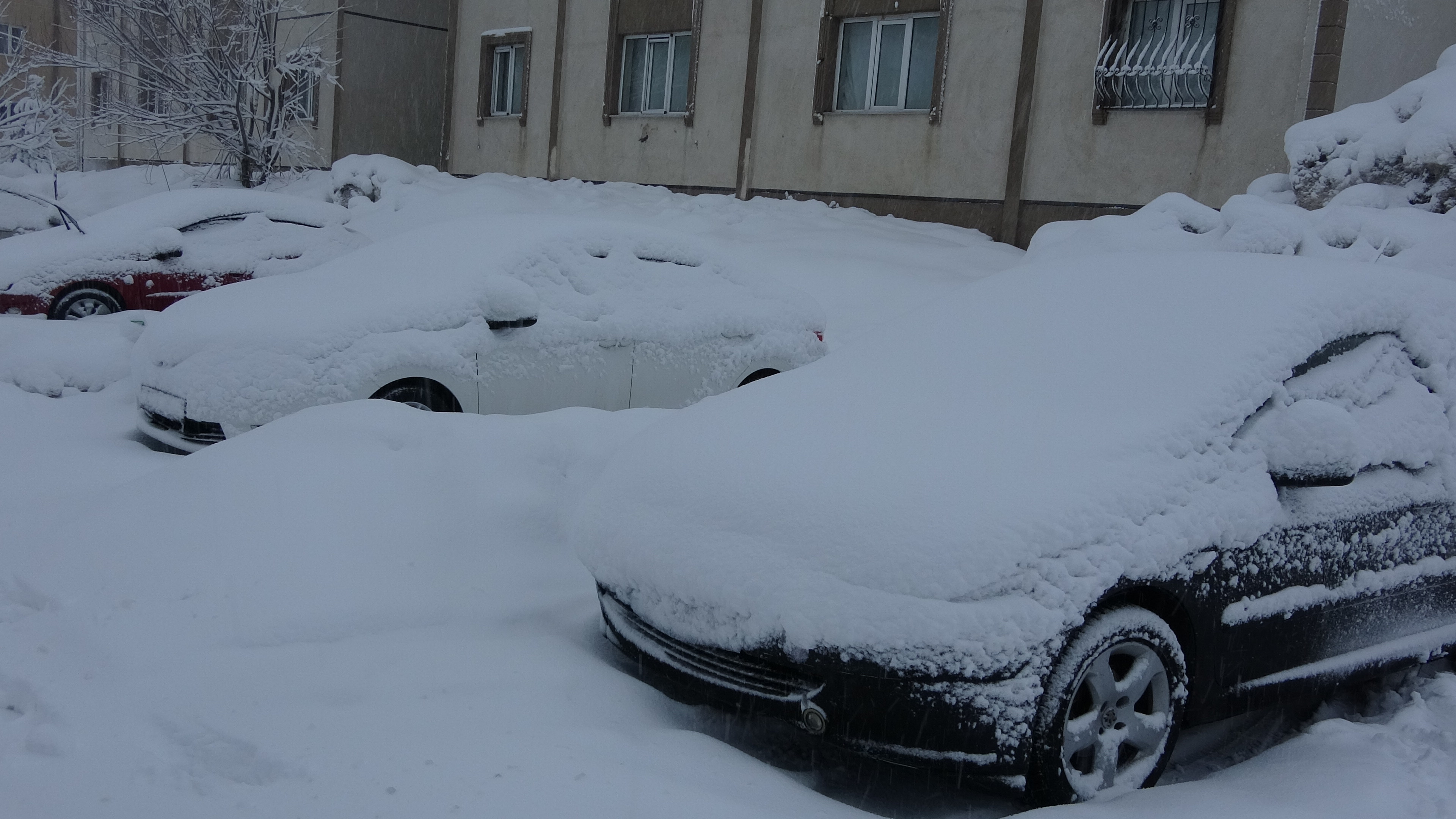 B I T L I S I N Y U K S E K L E R I N D E K A R K A L I N L I G I 30 1158106 343865