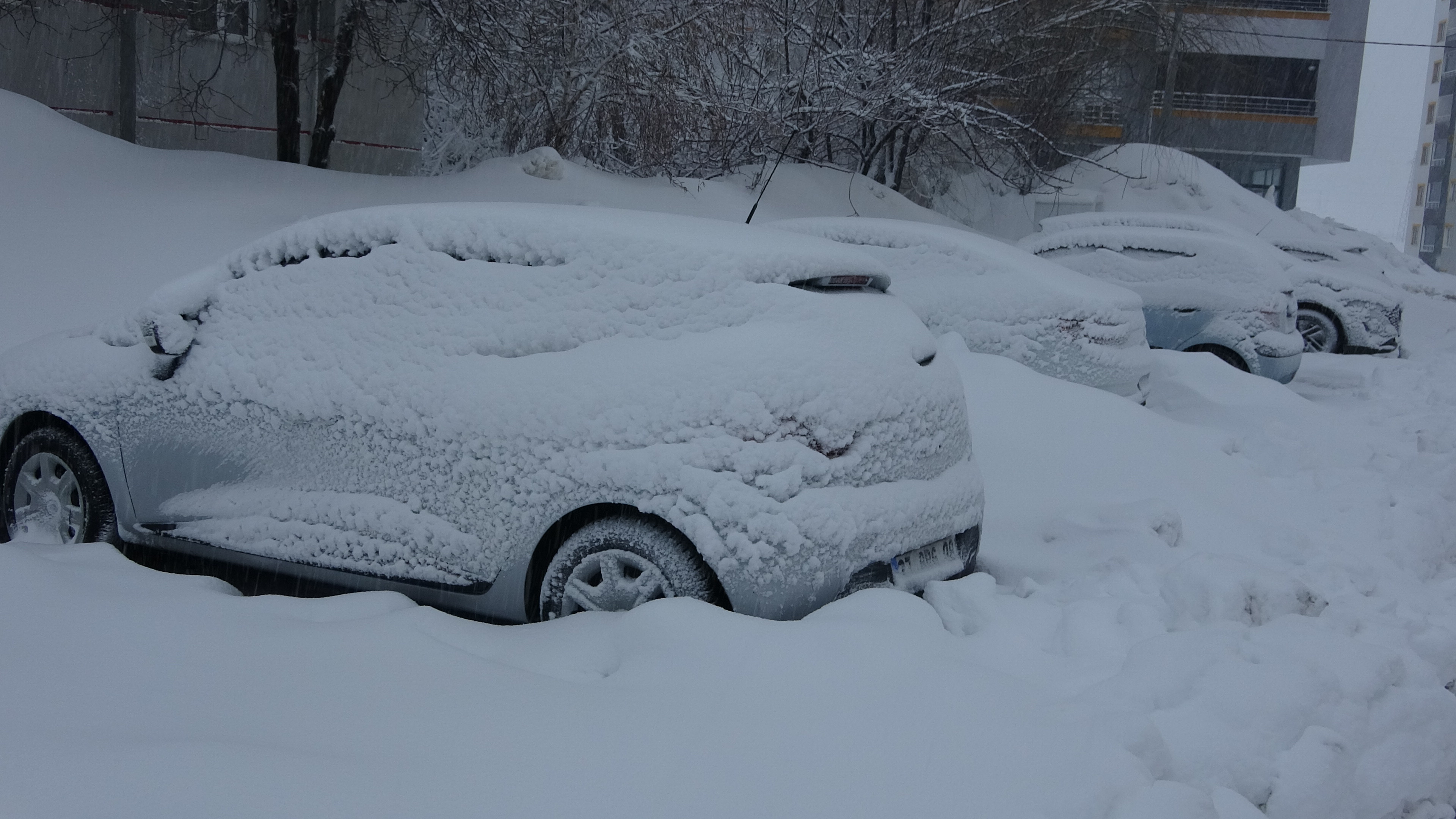 B I T L I S I N Y U K S E K L E R I N D E K A R K A L I N L I G I 30 1158108 343865