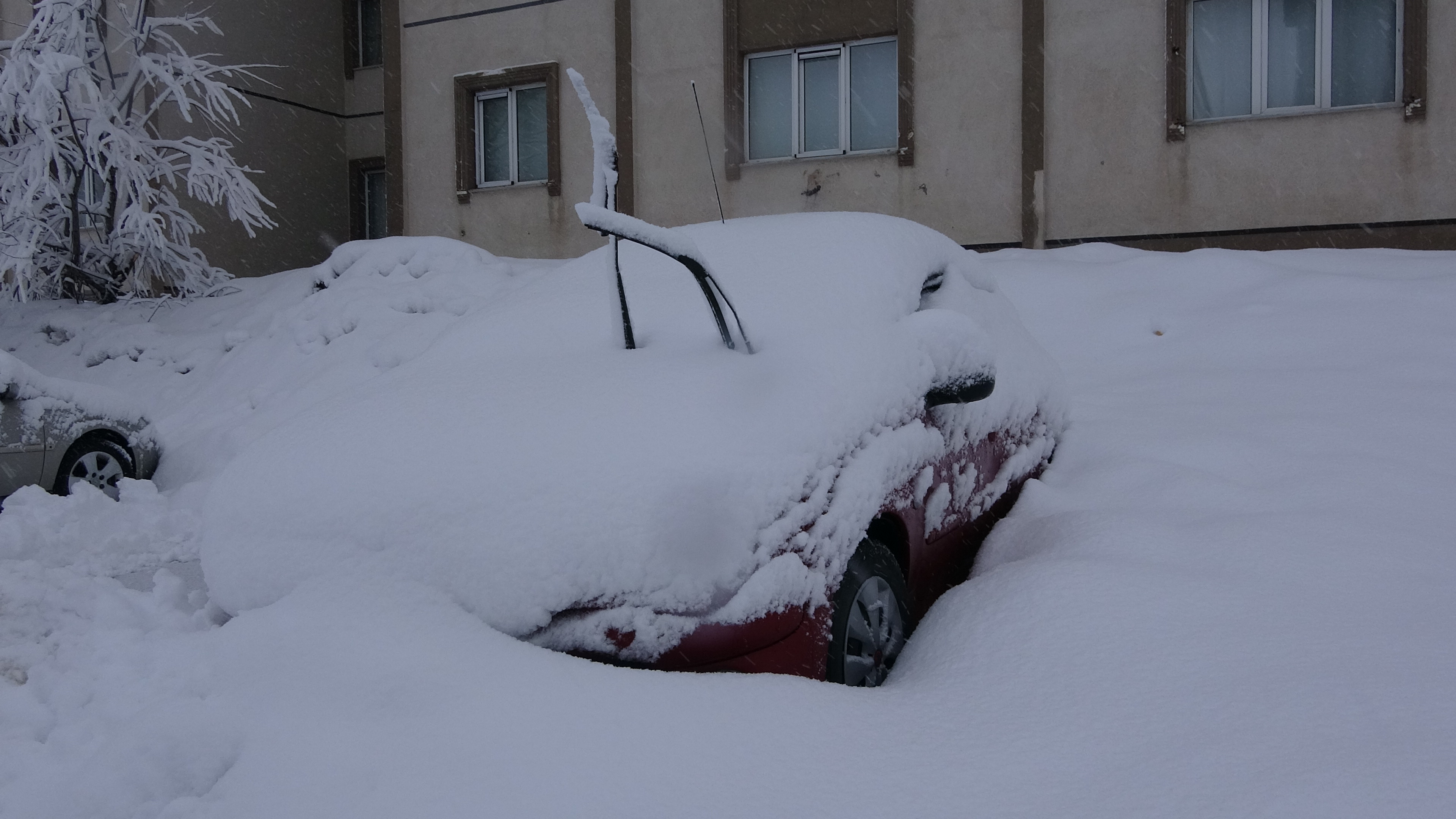 B I T L I S V E V A N D A 205 Y E R L E S I M Y E R I N I N Y O 1163180 345512