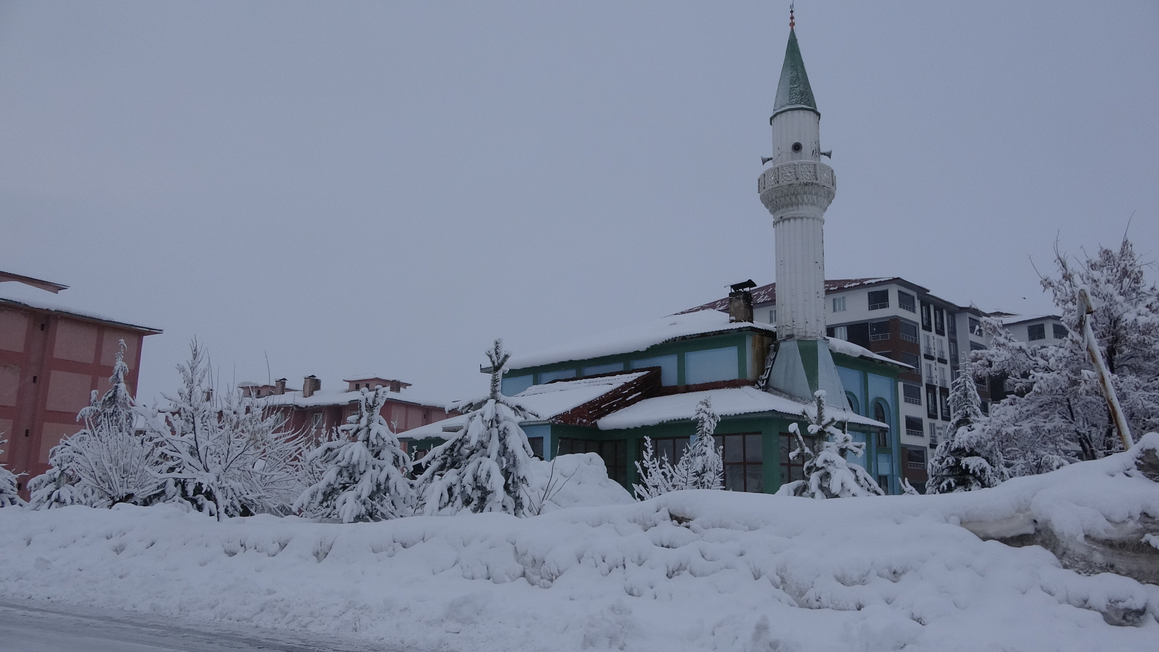 B I T L I S V E V A N D A 205 Y E R L E S I M Y E R I N I N Y O 1163182 345512