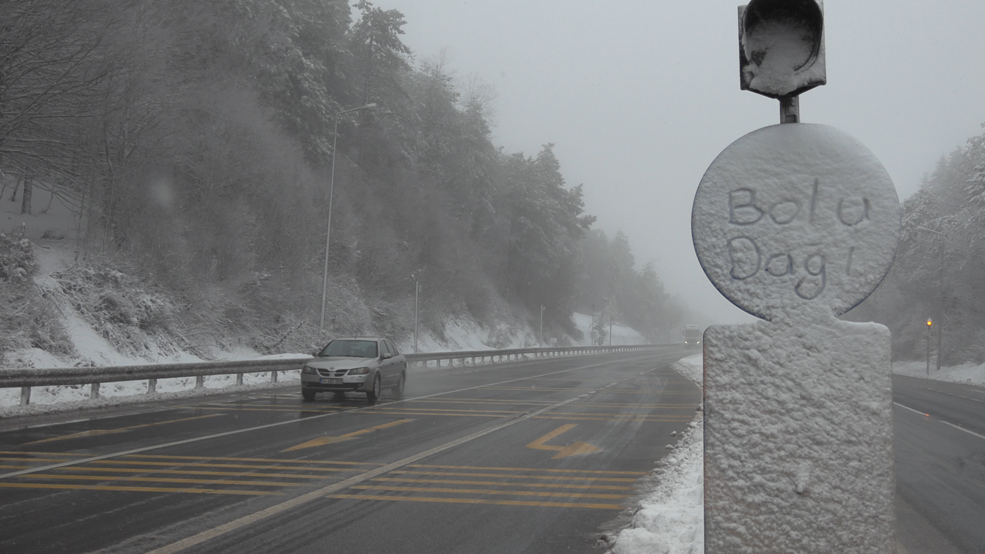 B O L U D A G I N D A K A R V E S I S 1147604 340799