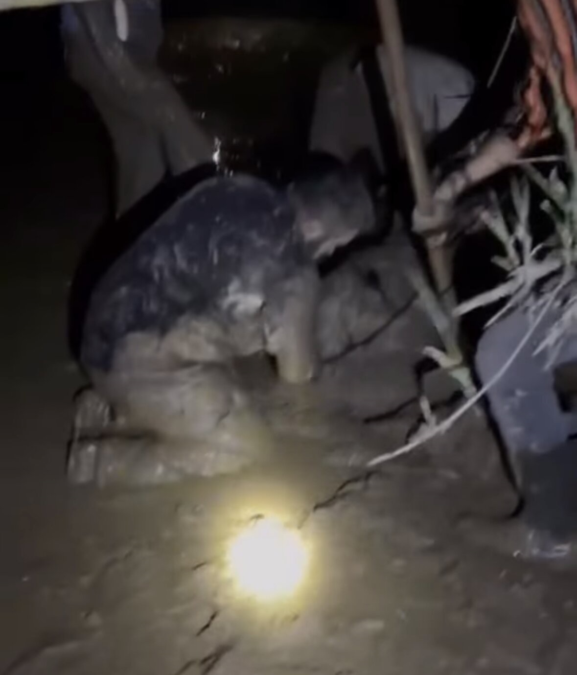 C A M U R A S A P L A N A N 30 K O Y U N K U R T A R I L D I 2 K 1164963 346060