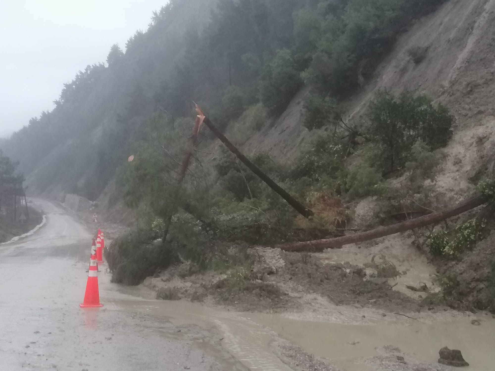 C A T A L Z E Y T I N I N E B O L U K A R A Y O L U N D A H E Y E L A N 1148038 340955