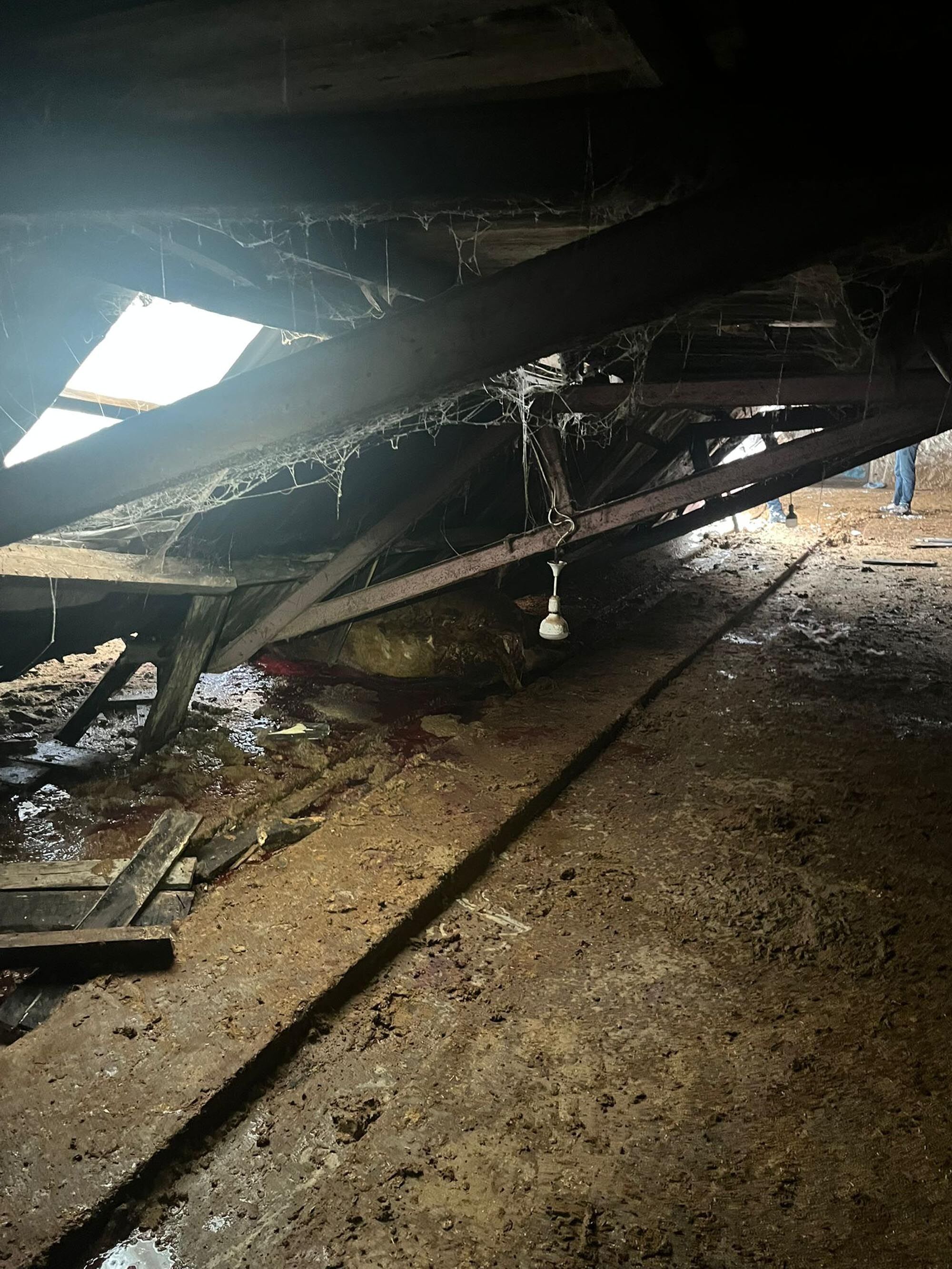 C A T I S I N D A K A R B I R I K E N 2 A H I R C O K T U 4 B U 1189858 353551