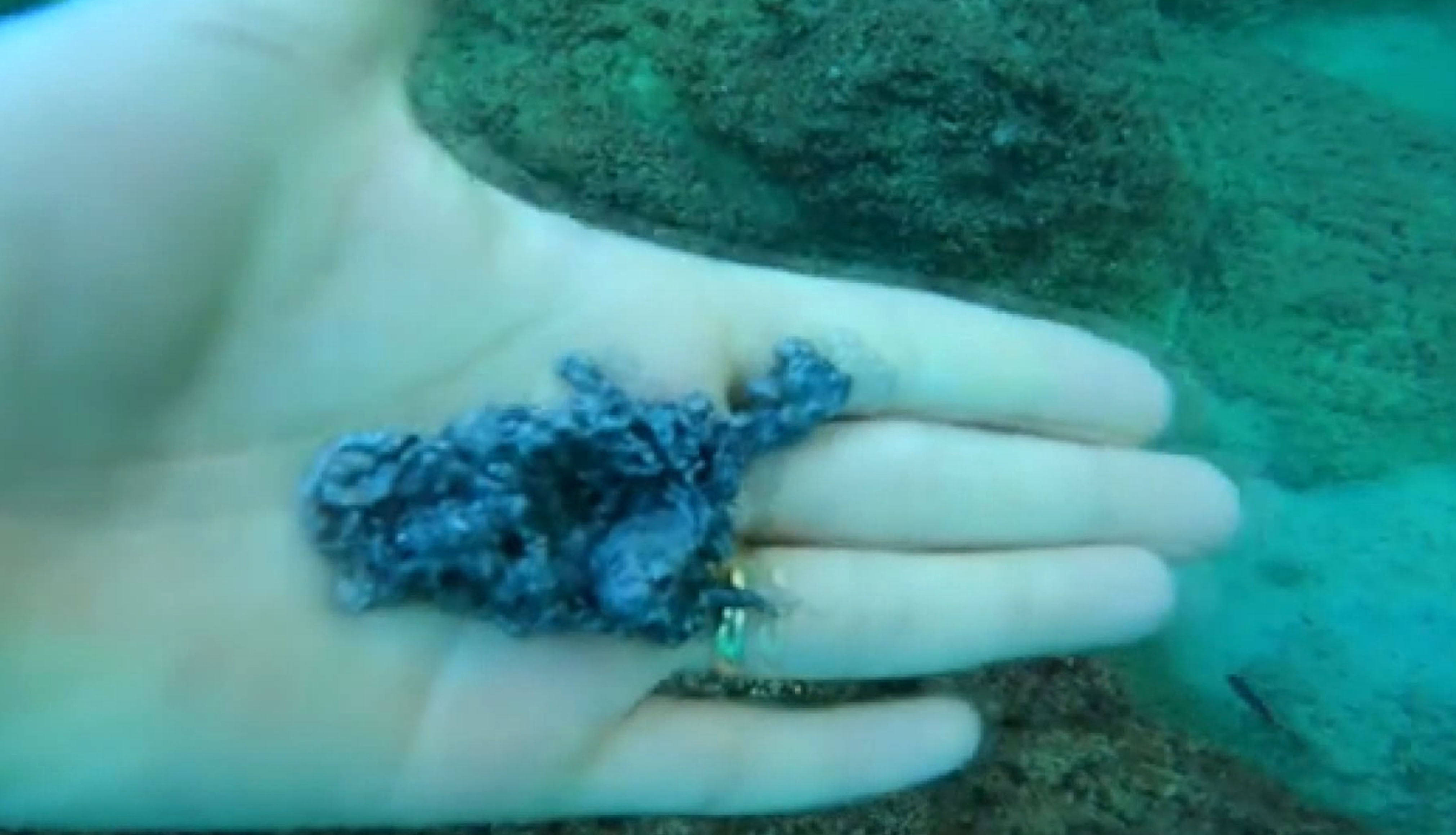 D E N I Z D E N B U Y U M A L Z E M E S I C I K A R I Y O R 1179273 350311