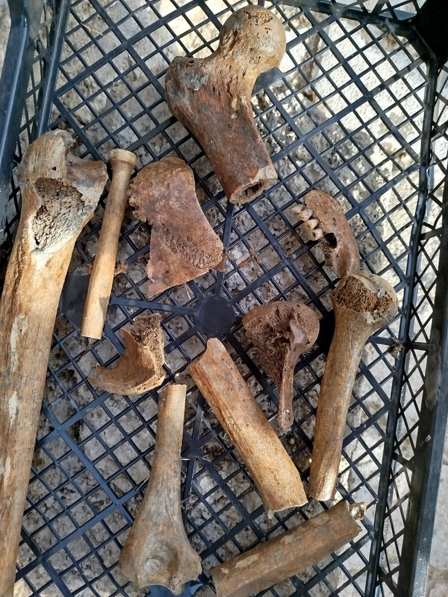 E G I R D I R G O L U N U N S U Y U C E K I L E N K I Y I K E S I M 1151337 341948