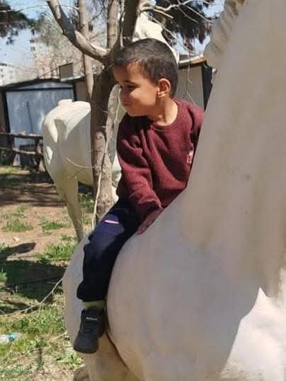 H A T A Y D A S U D O L U I N S A A T T E M E L I N E D U S E N 2 1161434 344940