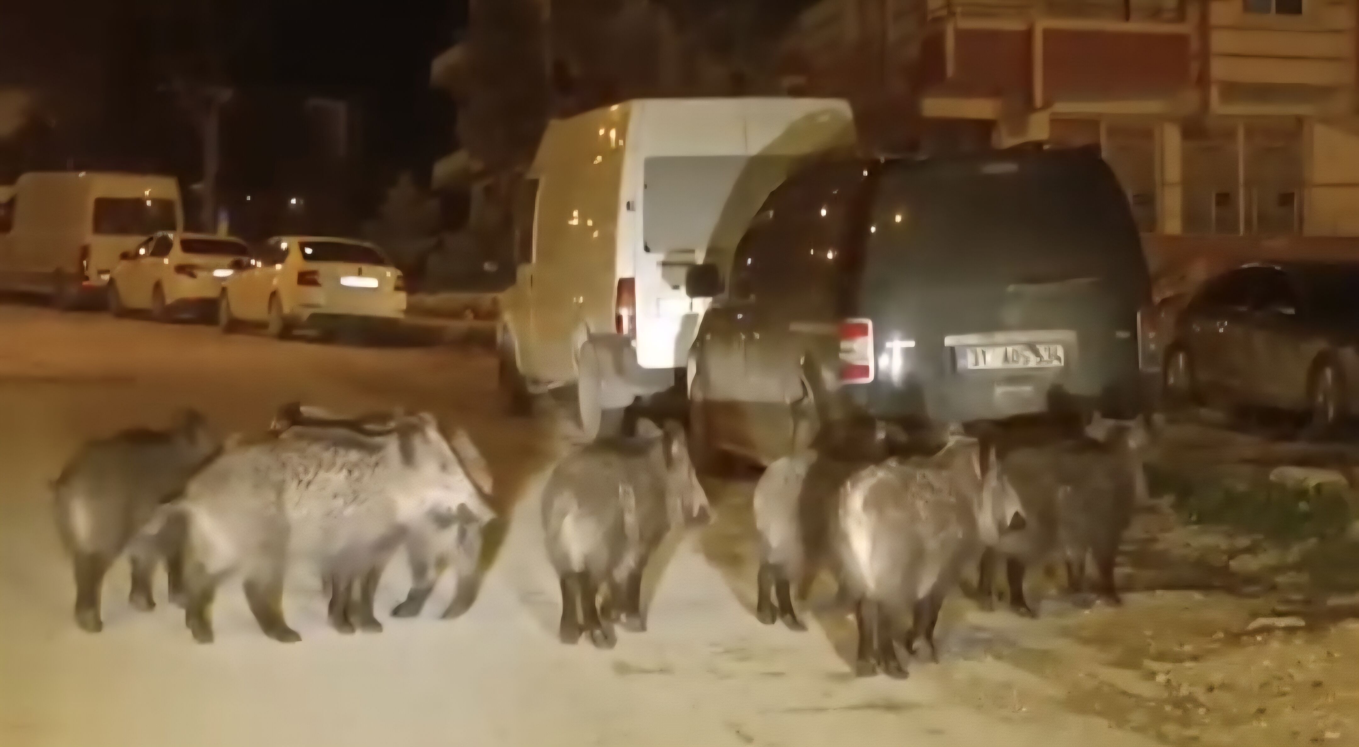 H A T A Y D A Y A B A N D O M U Z U S U R U S U Y E R L E S I M Y E 1187900 352984