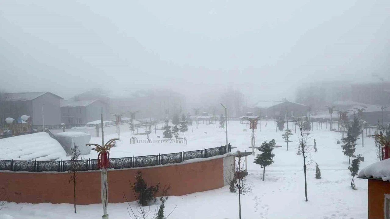 Hakkari’de sis kent genelinde etkisini gösterdi