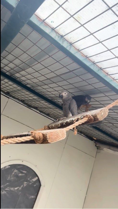 I S T A N B U L I S T A N B U L H A V A L I M A N I N D A 2 Y O L C 1174075 348753