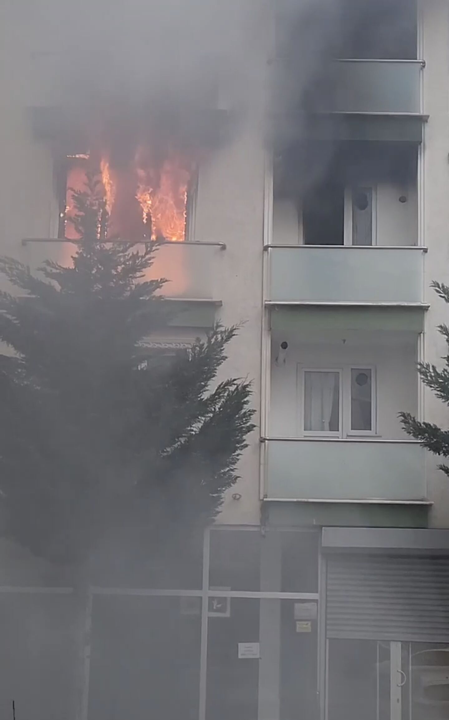 I S T A N B U L M A L T E P E D E 4 K A T L I B I N A D A Y A N 1185961 352357