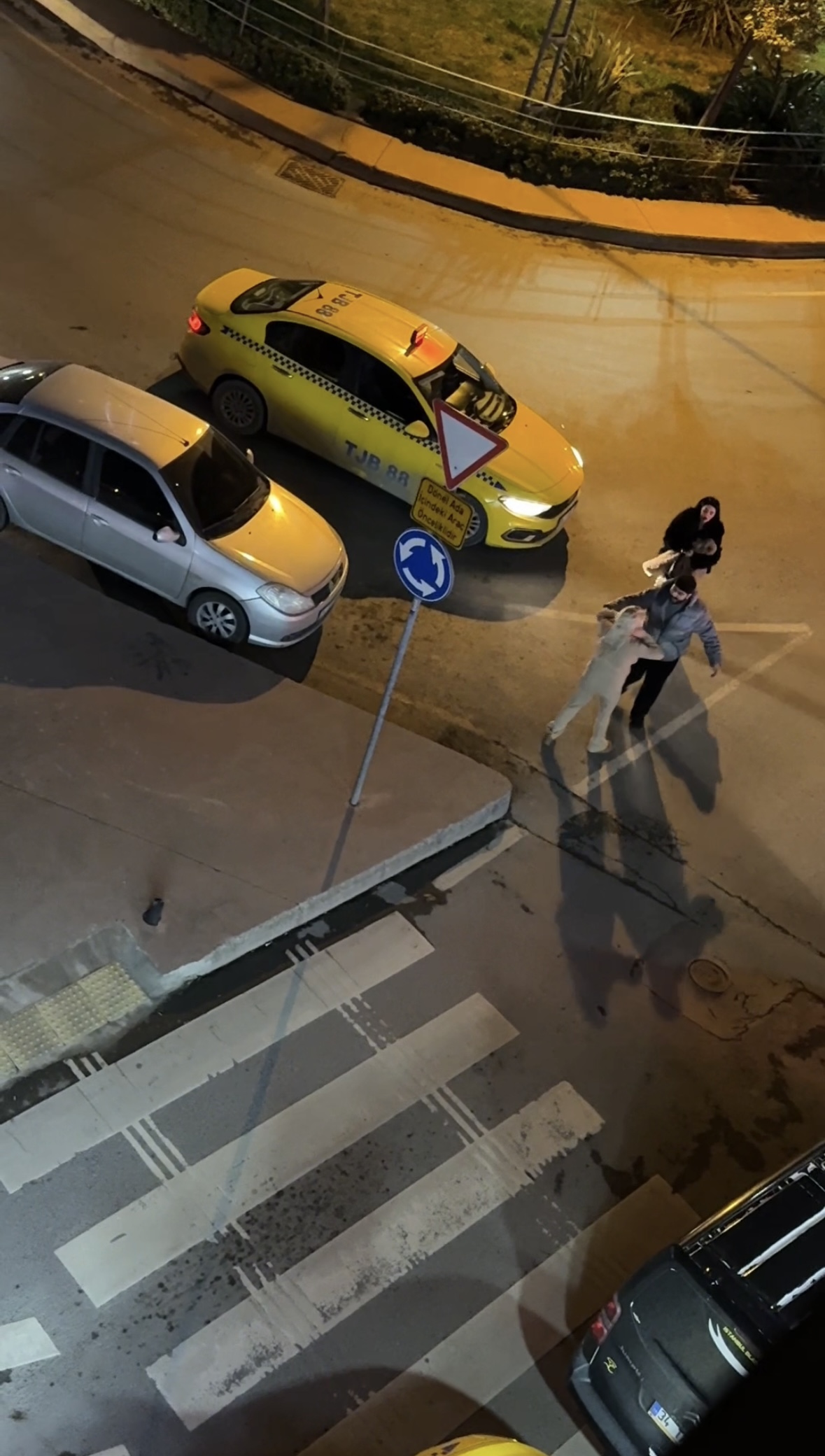 I S T A N B U L S I S L I’ D E S O K A K T A K I T A R T I S M A S 1147384 340721