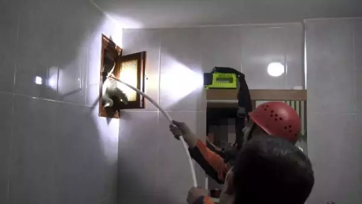 İstanbul Avcılar’da Mahsur Kalan Martıyı İtfaiye Kurtardı