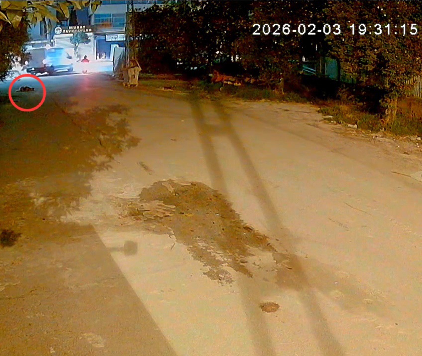 K A M Y O N E T S U R U C U S U A R A C A H A V L A Y A N K O P E G I 1150689 341727