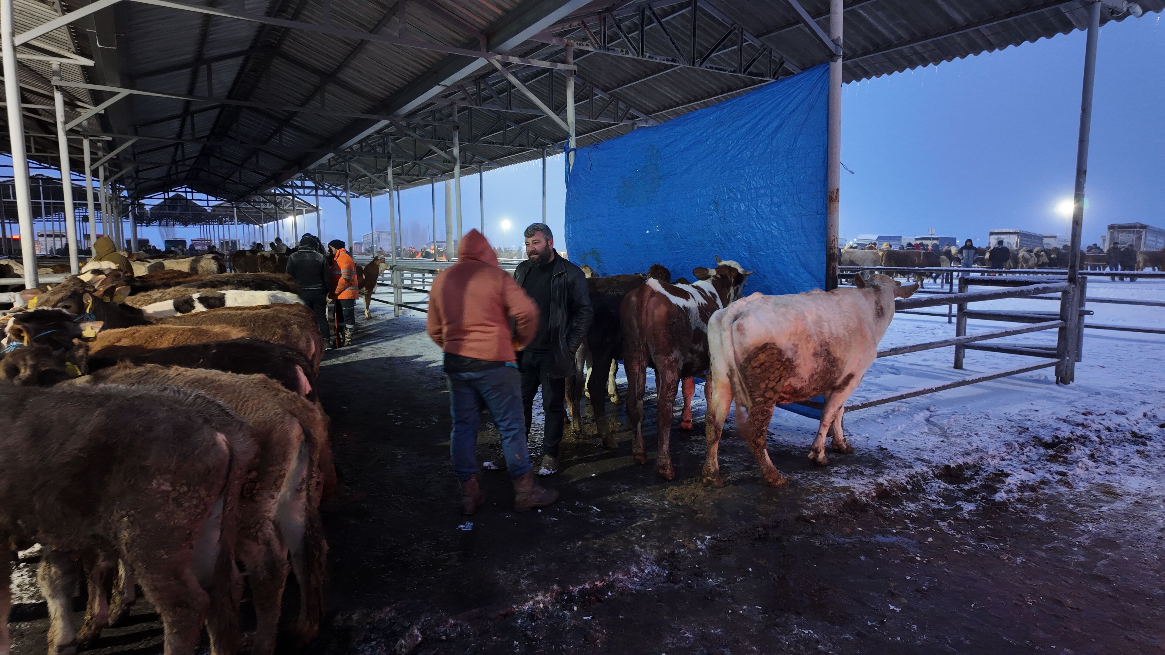 K I S S A R T L A R I T U R K I Y E N I N E N B U Y U K H A Y V A 1190375 353715