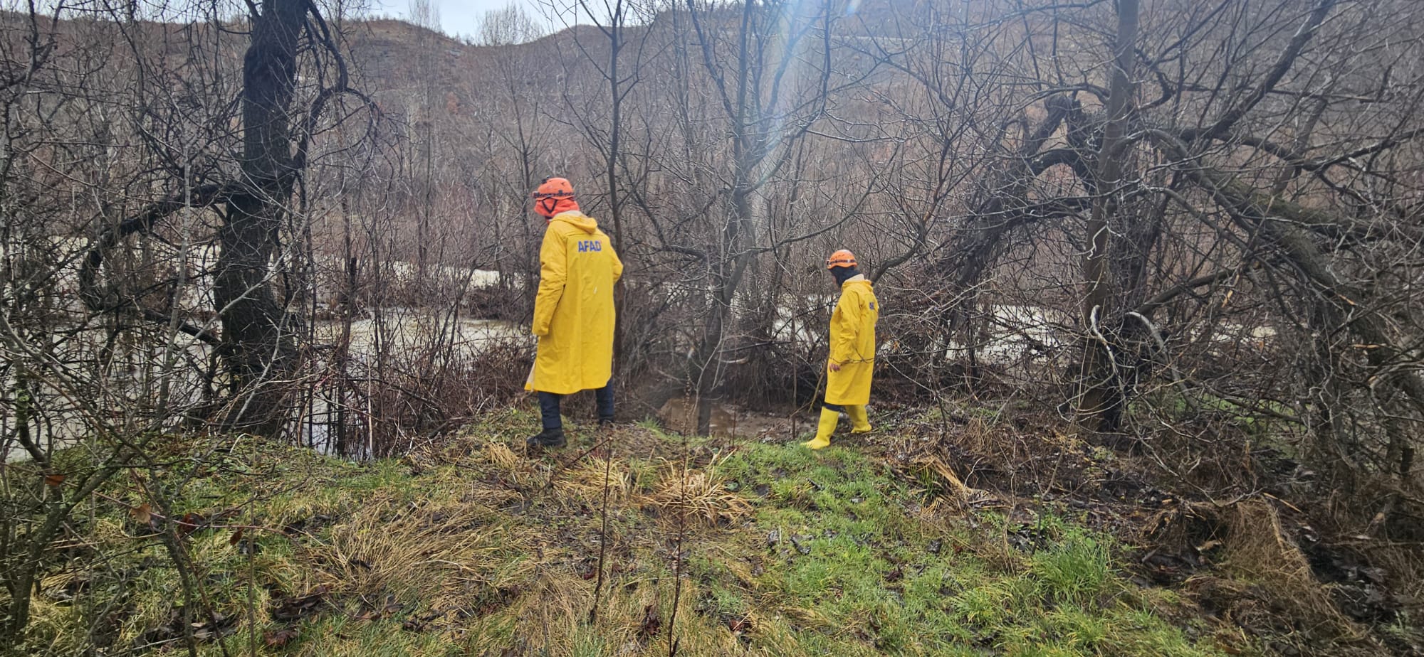 K O N Y A D A 9 G U N D U R K A Y I P O L A N A L Z H E I M E R H 1176329 349429