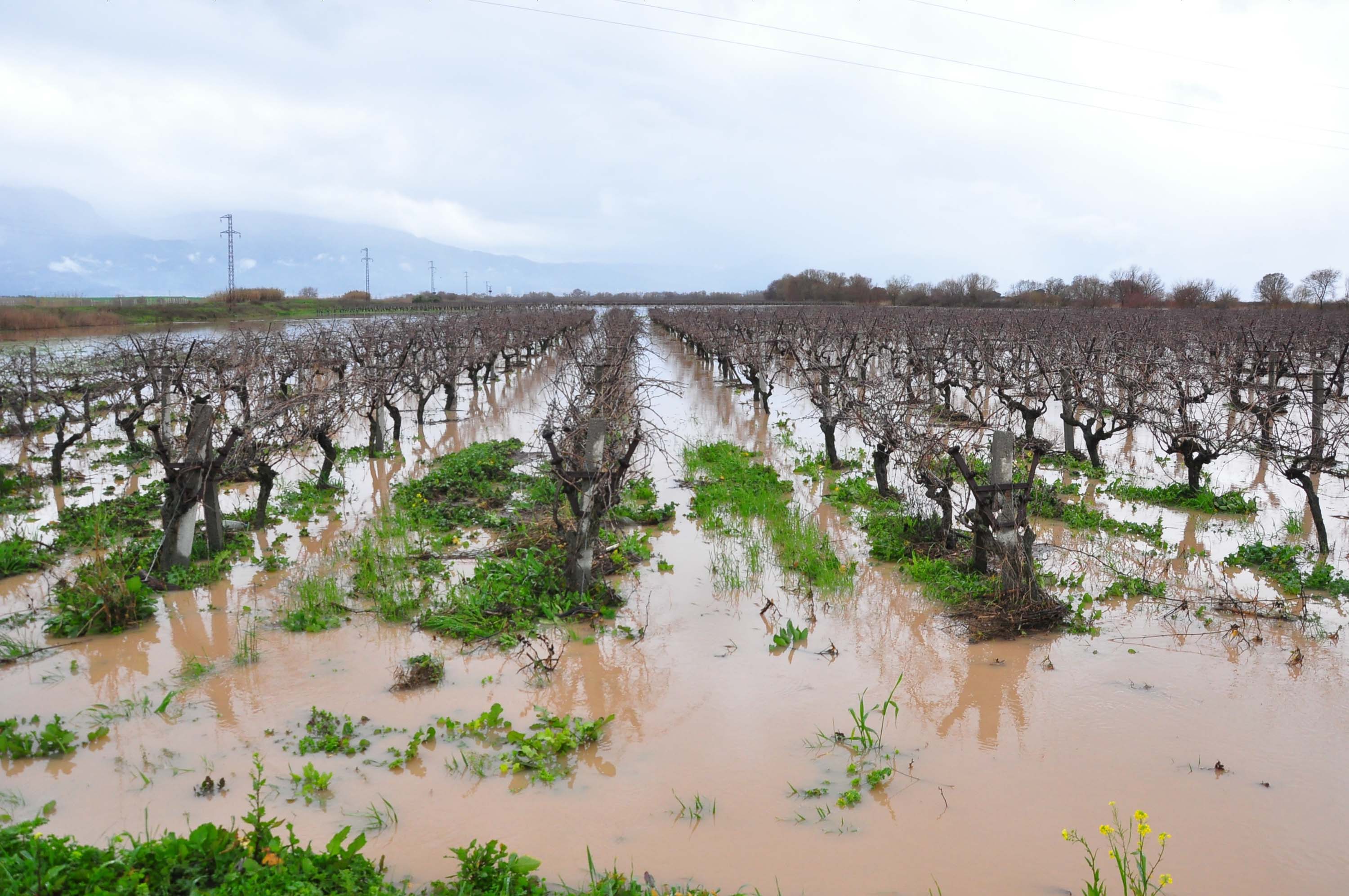 Manisa’da Çay Taştı, Köprü Su Altında Kaldı
