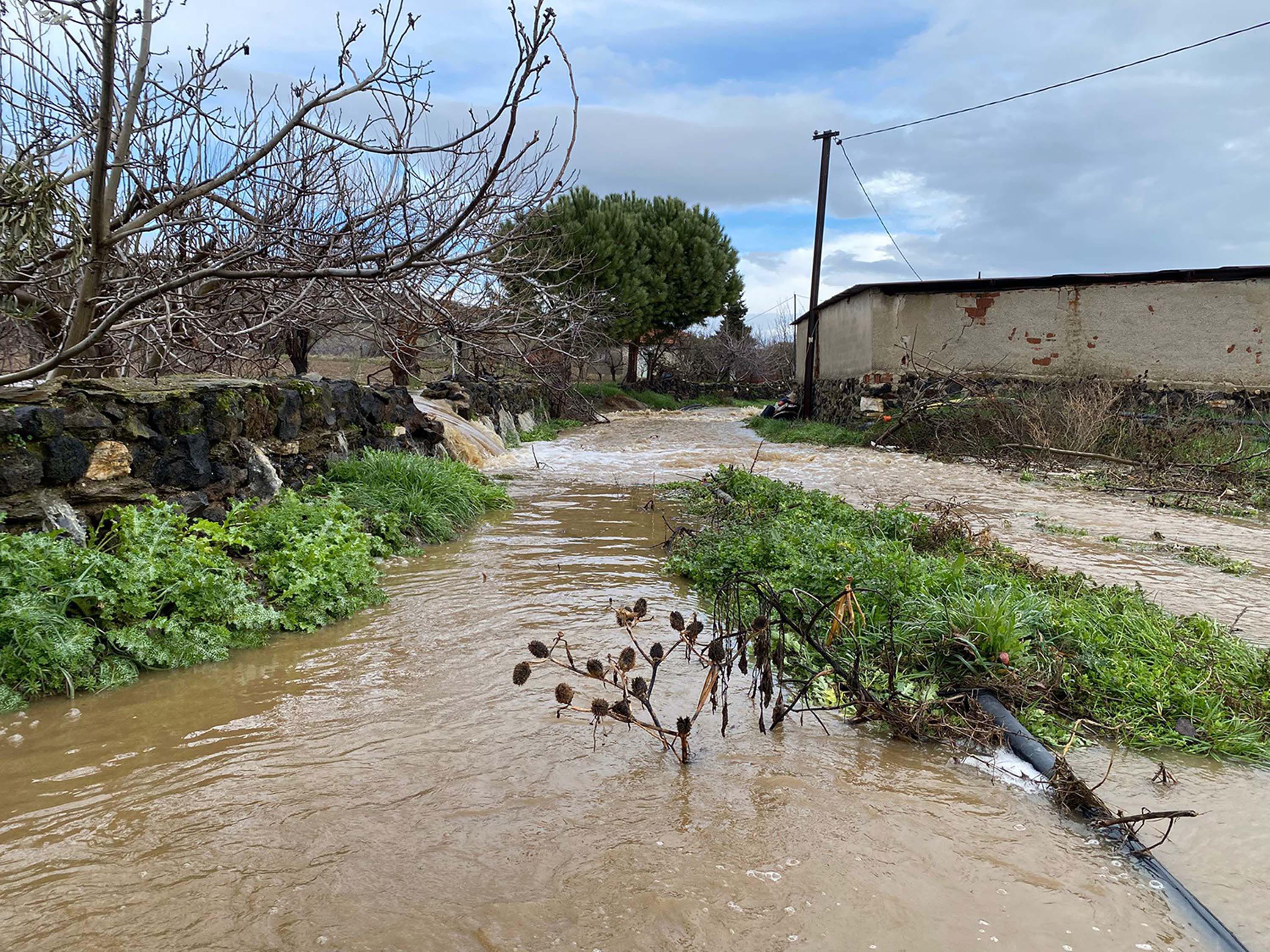 M A N I S A D A D E R E L E R T A S T I T A R I M A R A Z I L E R I 1175004 349035