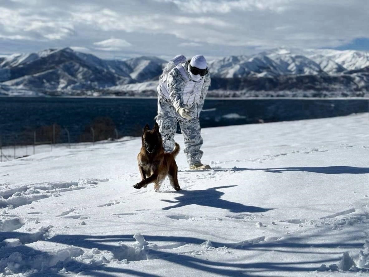 Mehmetçikten Kar Üstünde Köpekli Arama Tatbikatı