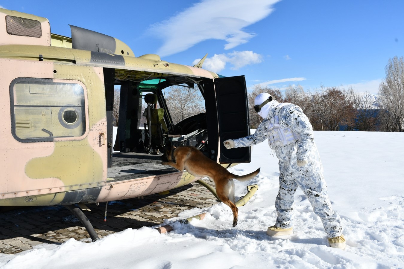 M E H M E T C I K T E N D E R I N K A R D A K O P E K L I A R A M A E 1149816 341442