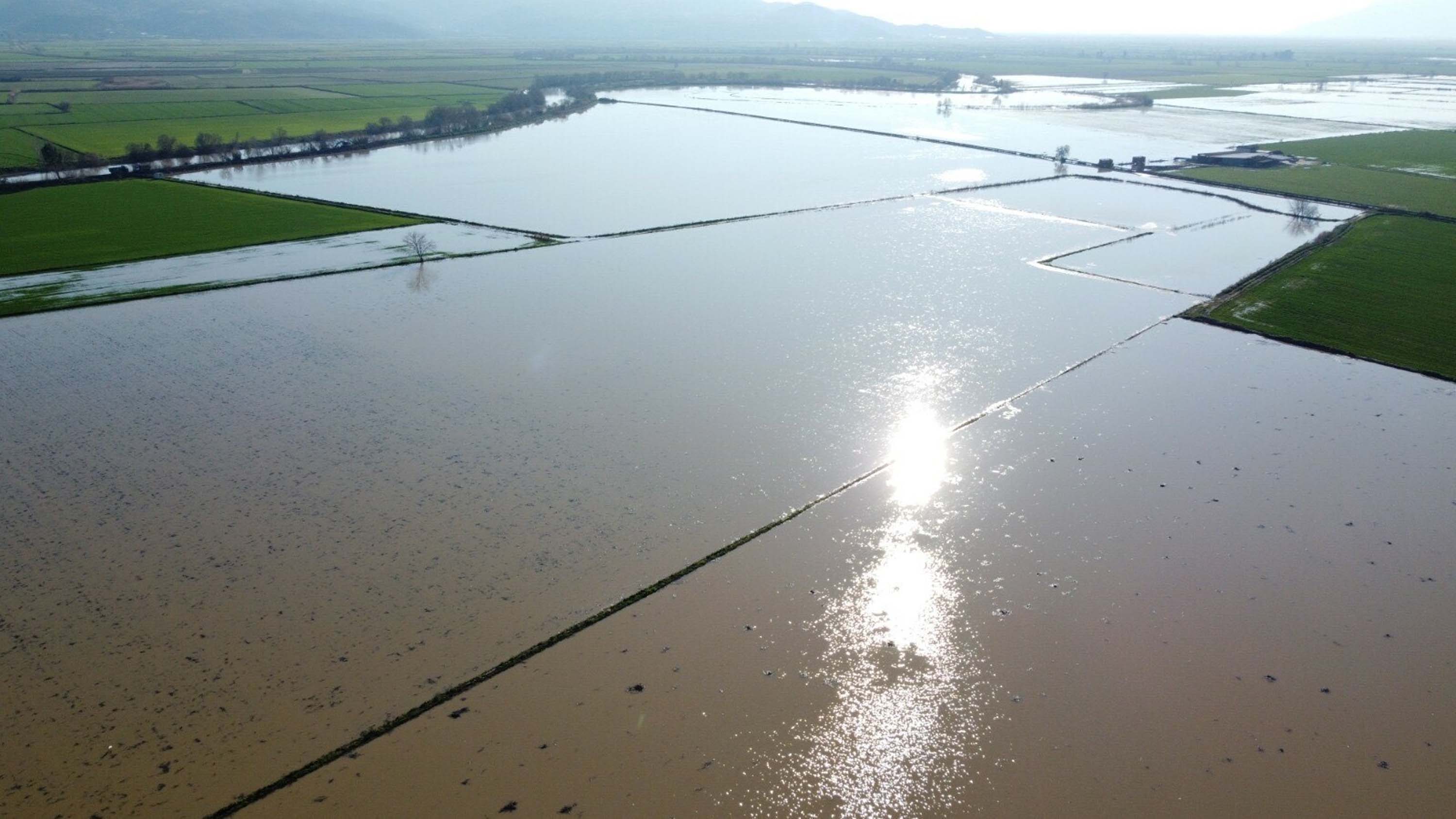 Menderes Nehrinde Taşkın Iki Bin Dönümlük Arazinin Su Altında Kalmasına Yol Açtı