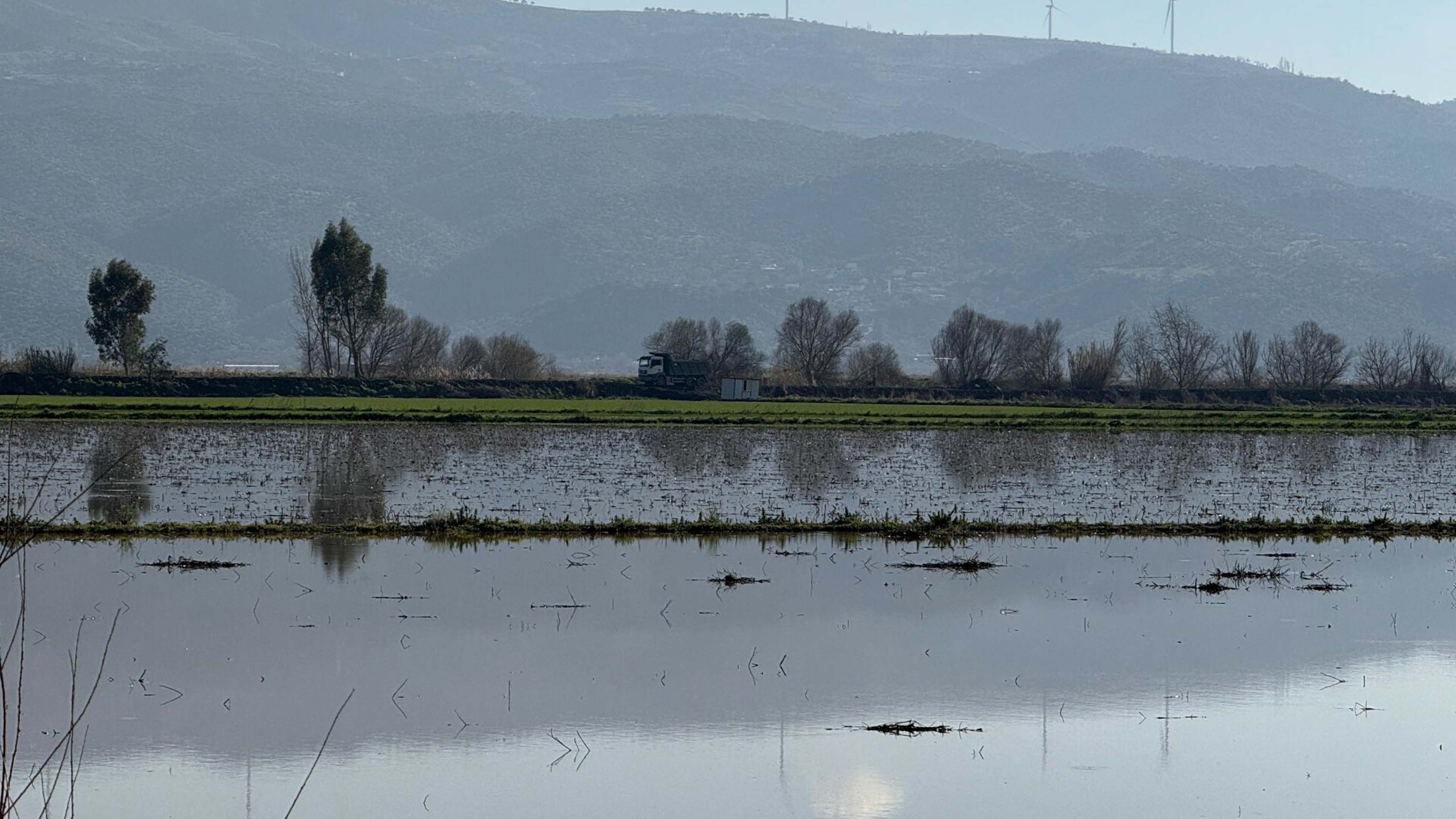 M E N D E R E S N E H R I T A S T I 2 B I N D O N U M L U K A R A 1148872 341183