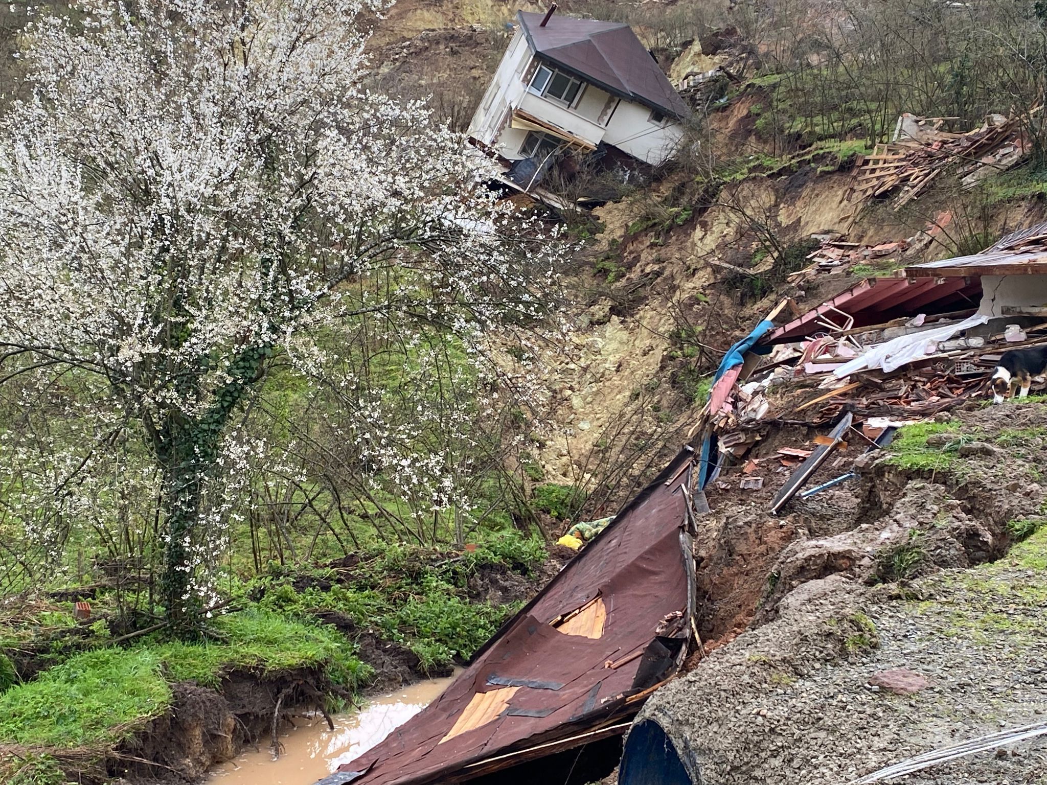 O R D U’ D A H E Y E L A N 2 E V V E 1 S P O R T E S I S I Y 1190357 353711