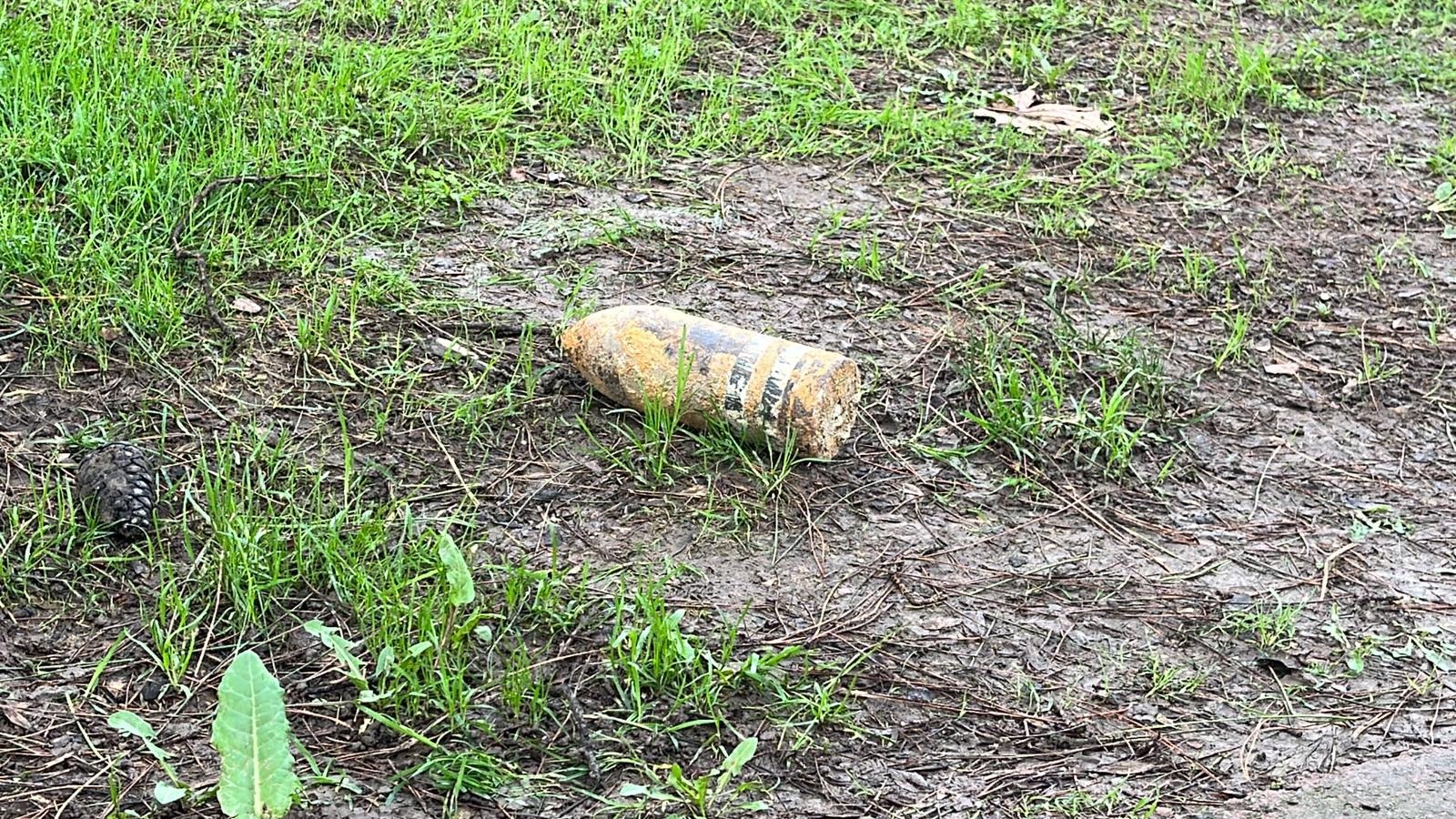 P I K N I K Y A P A R K E N B U L D U G U 110 Y I L L I K P A T L A 1158813 344073