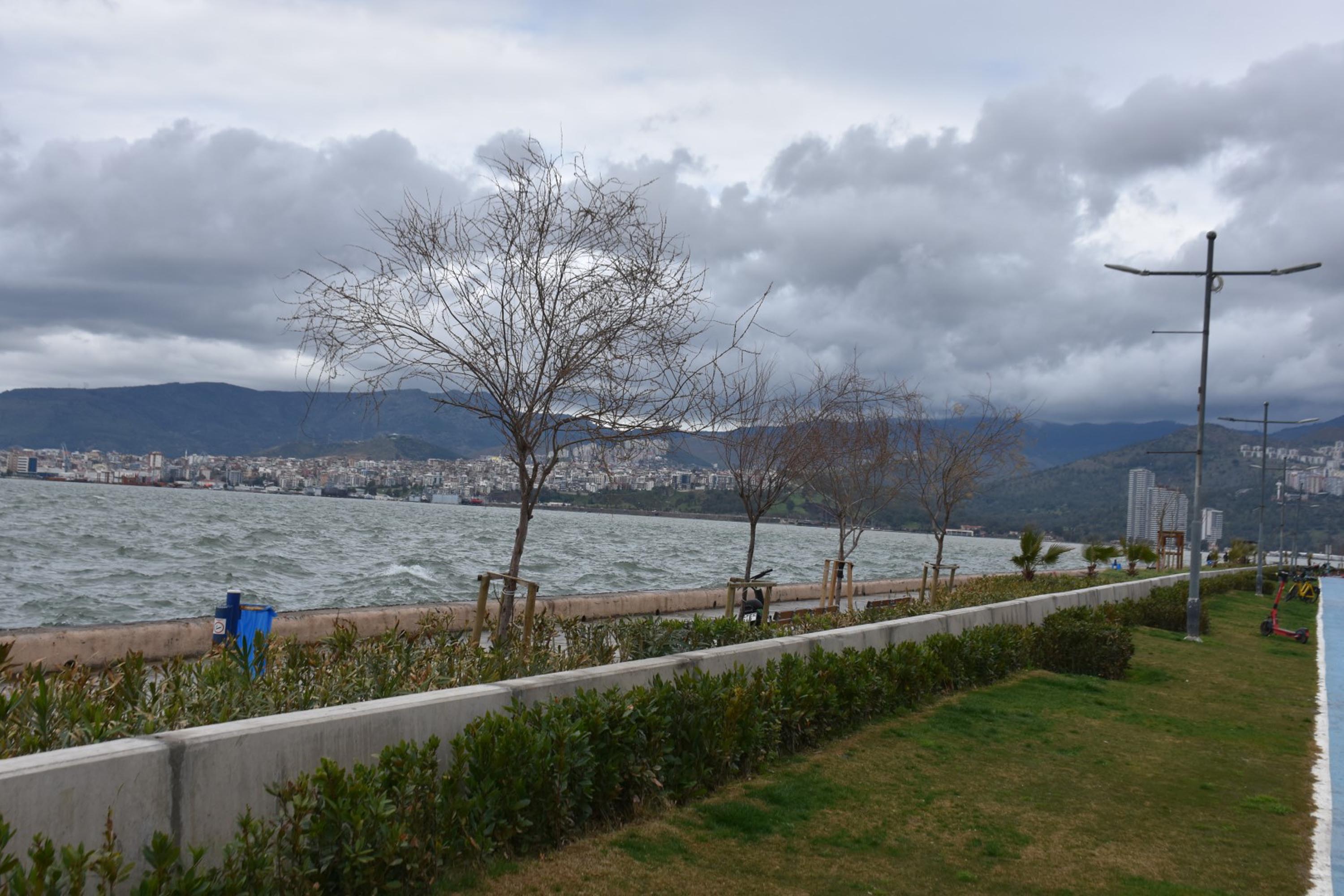 P R O F. D R. Y A S A R I Z M I R H E R Y I L C O K U Y O R 1175025 349040