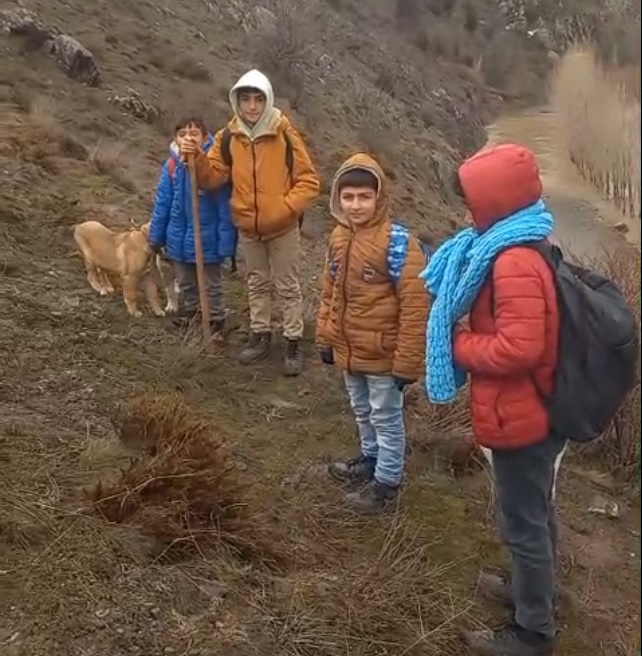 S I V A S T A Y I L D I Z I R M A G I T A S T I A R A Z I L E R S 1176102 349360