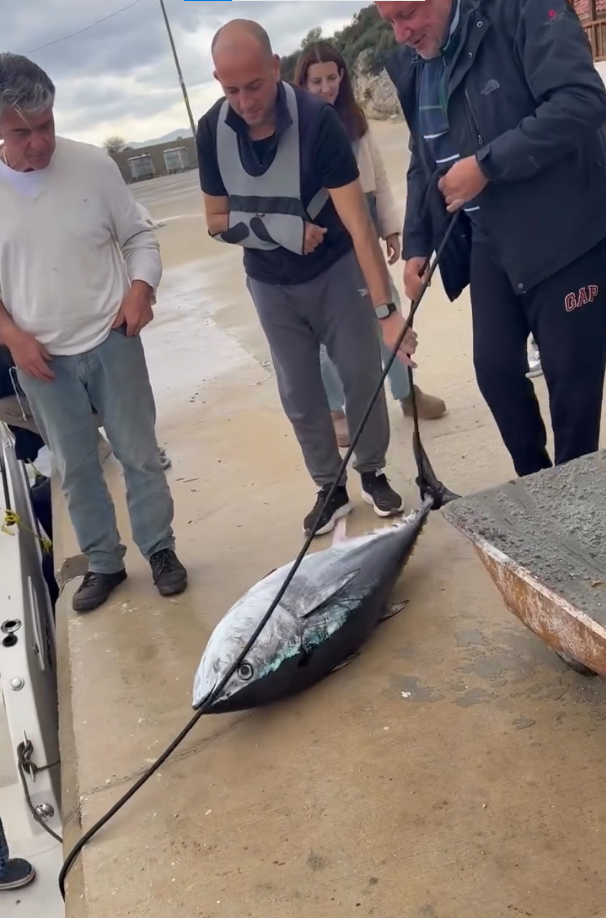 S O G U K H A V A Y A A L D I R I S E T M E D E N D E N I Z E G I R I 1144970 339956