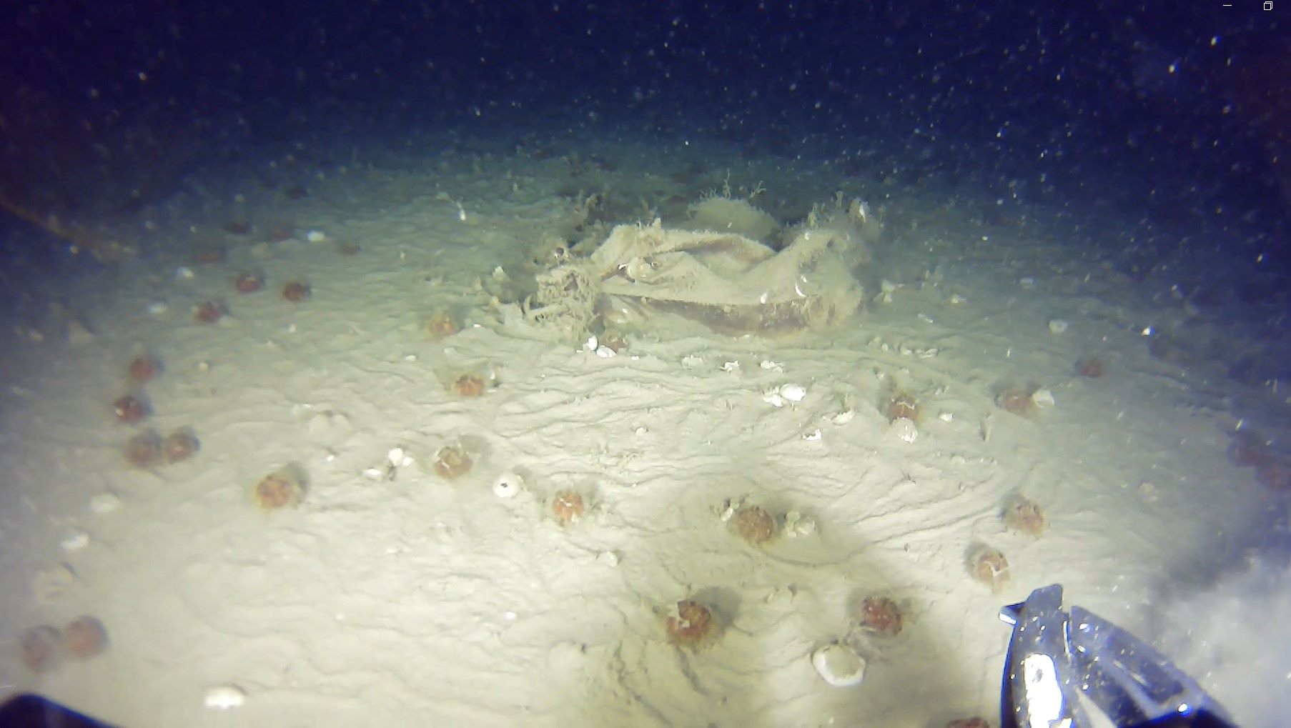 T H Y N I N 51 Y I L O N C E D U S E N U C A G I N I N E N K A Z 1182902 351367