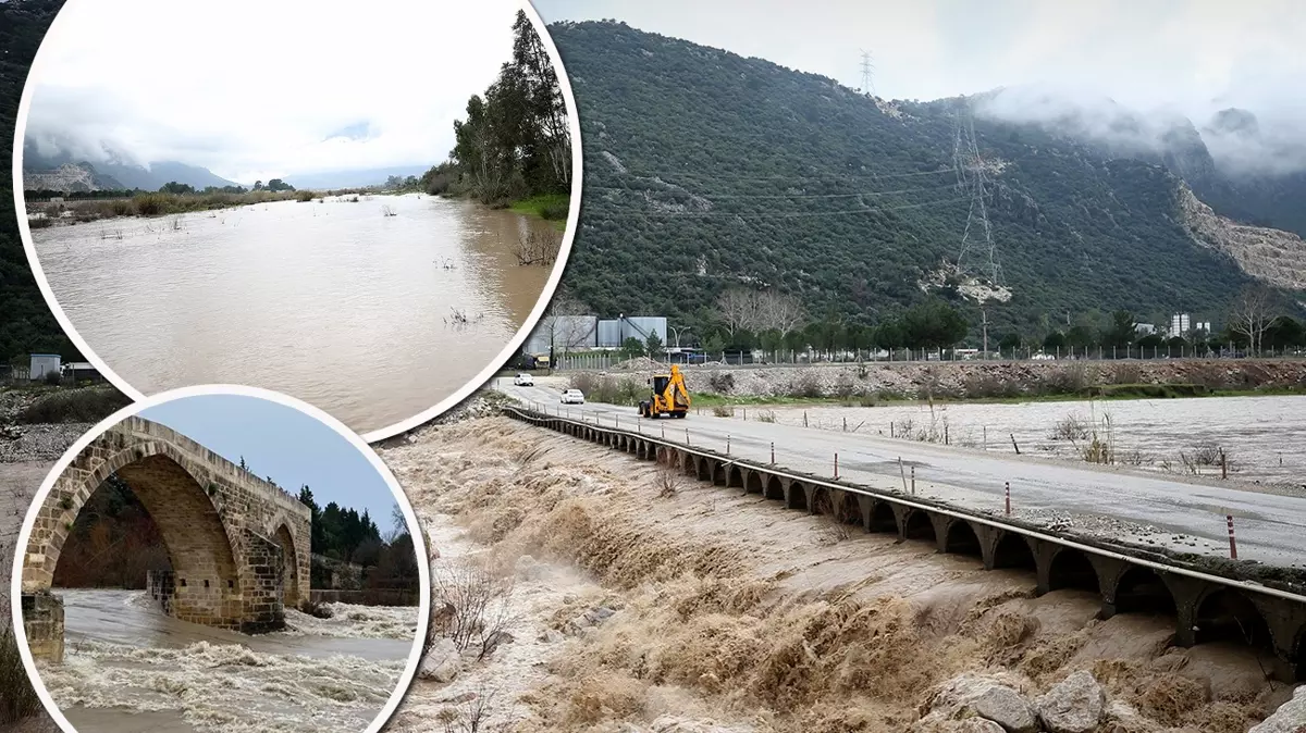 T25 1 Yillik Yagis 40 Gunde D 382