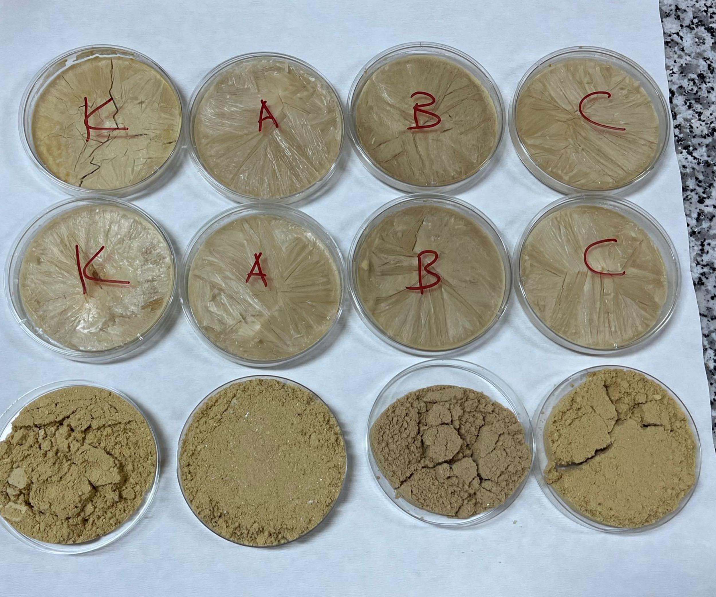 Vegan Sporcular İçin Ceviz Bazlı Protein Geliştirildi