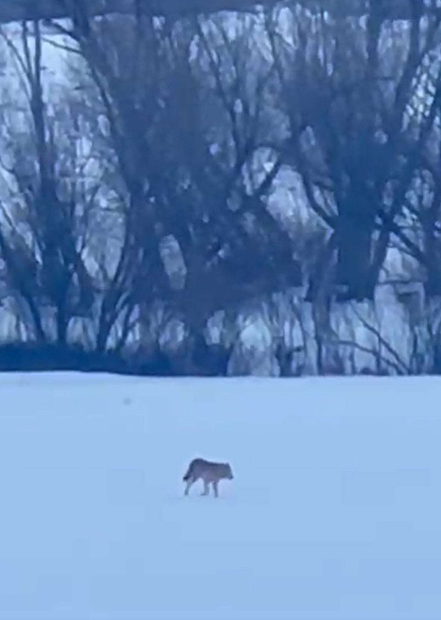 Y A L N I Z C A M D A G L A R I N D A 3 A Y A K L I K U R D U N Y A 1164281 345865