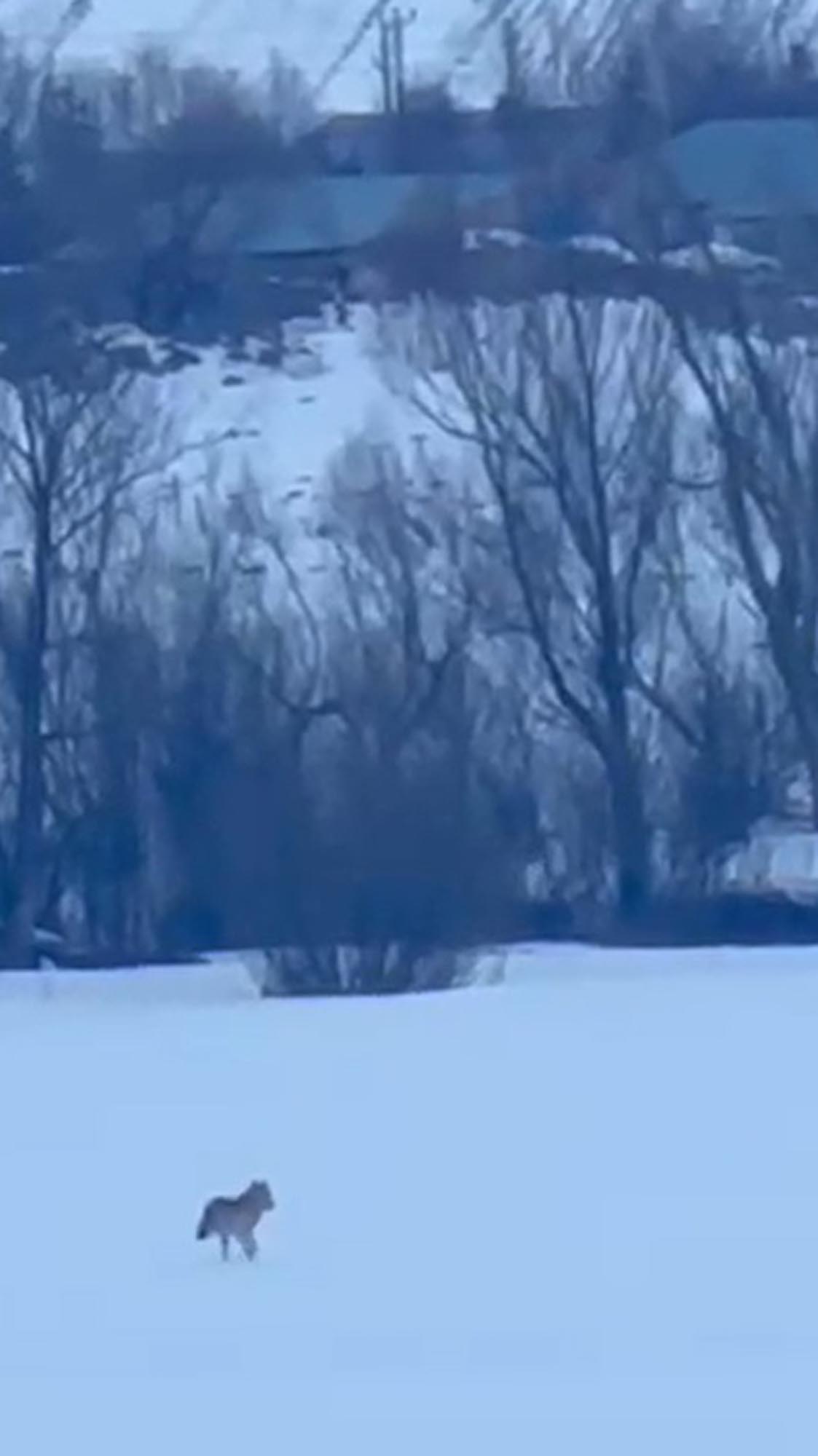 Y A L N I Z C A M D A G L A R I N D A 3 A Y A K L I K U R D U N Y A 1164282 345865