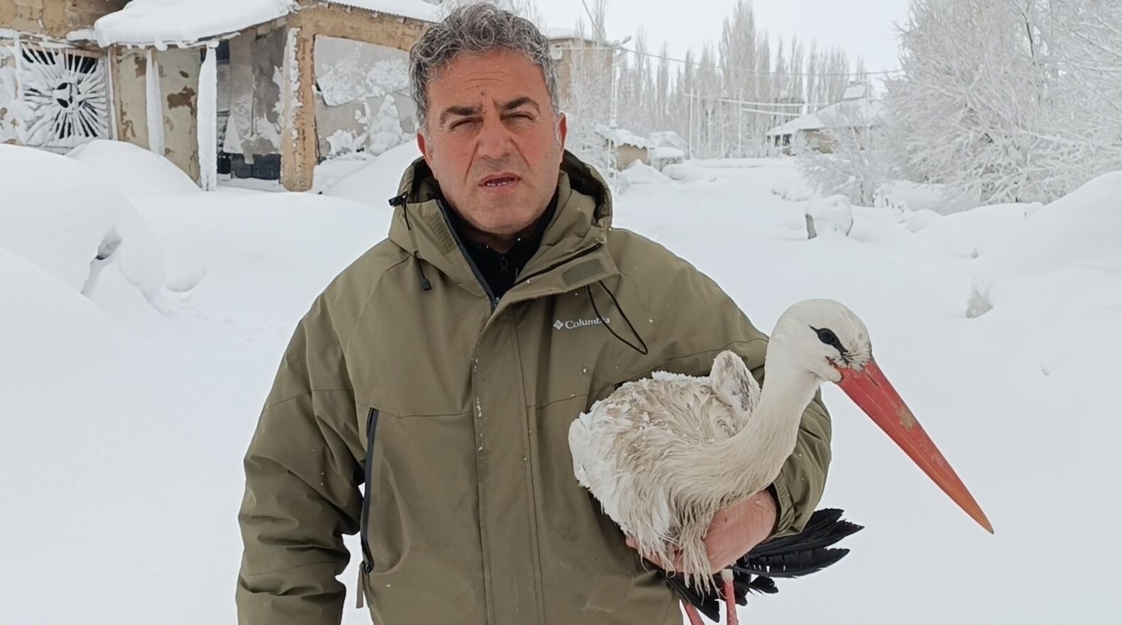 Yuvasından Düşen ve Kanatları Donan Leylek Kurtarıldı