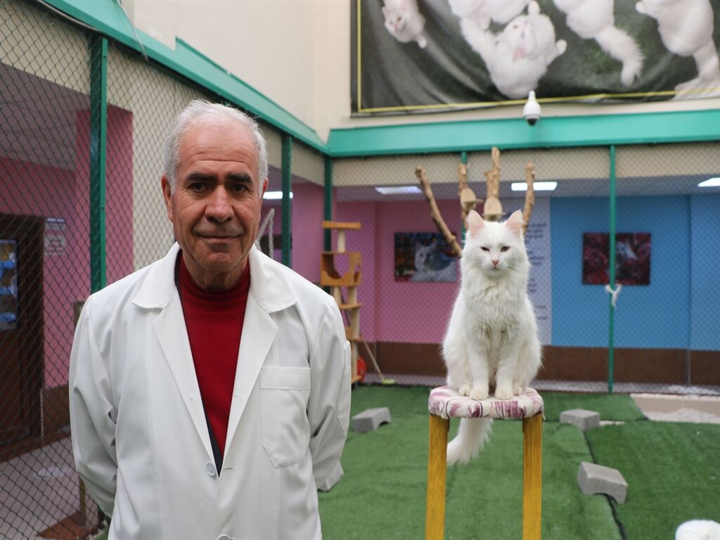 Van Kedi Villası’nda Yeni Üyeler İçin Heyecanlı Hazırlık