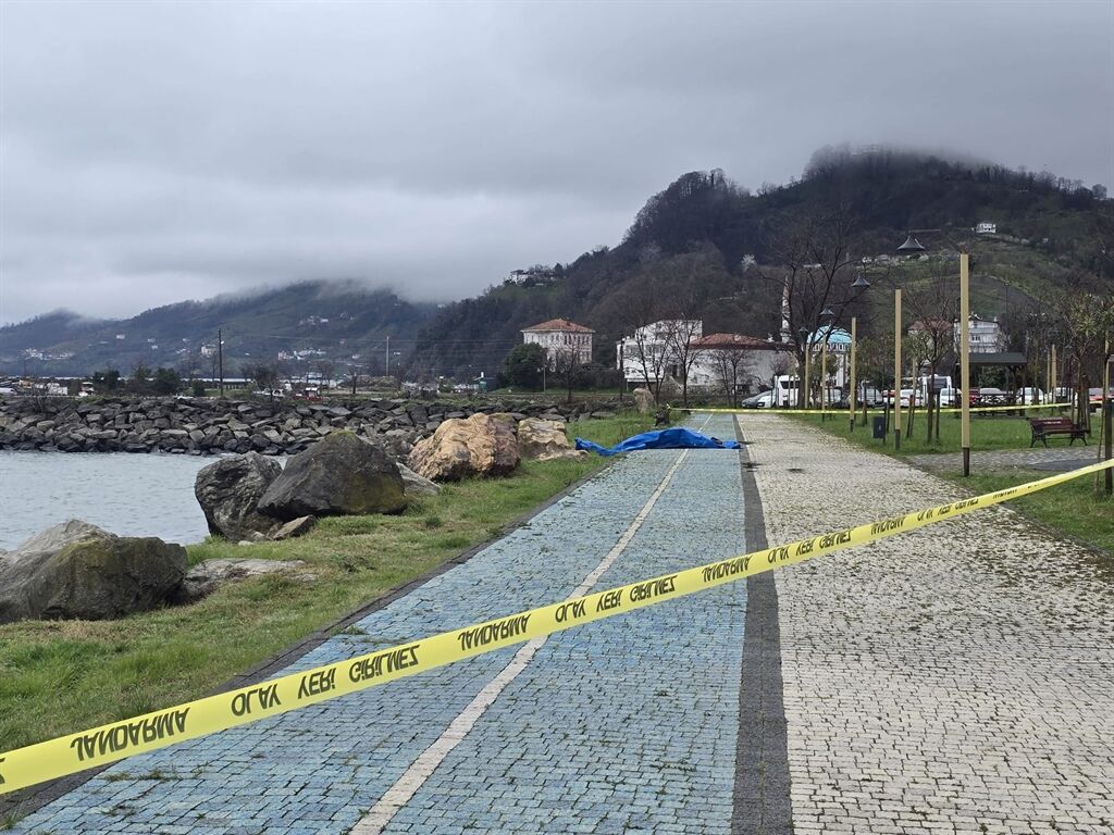 Ordu Sahiline Vuran Gizemli Cihaz: İnceleme Başlatıldı