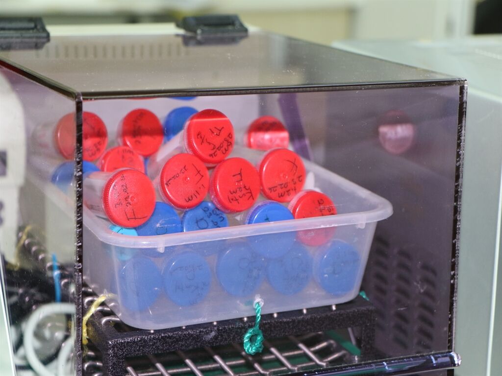 Türk Bilim İnsanları Antarktika Mikroorganizmalarını Tarıma Kazandıracak