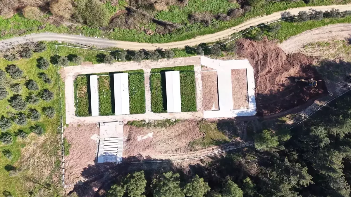 Gemlik’te 25 Dönümlük Alana Patili Canlar Yaşam ve Rehabilitasyon Merkezi Kuruluyor