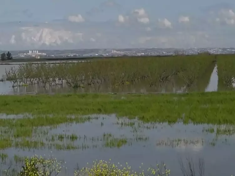 69C233B26B4683C9A3888B59